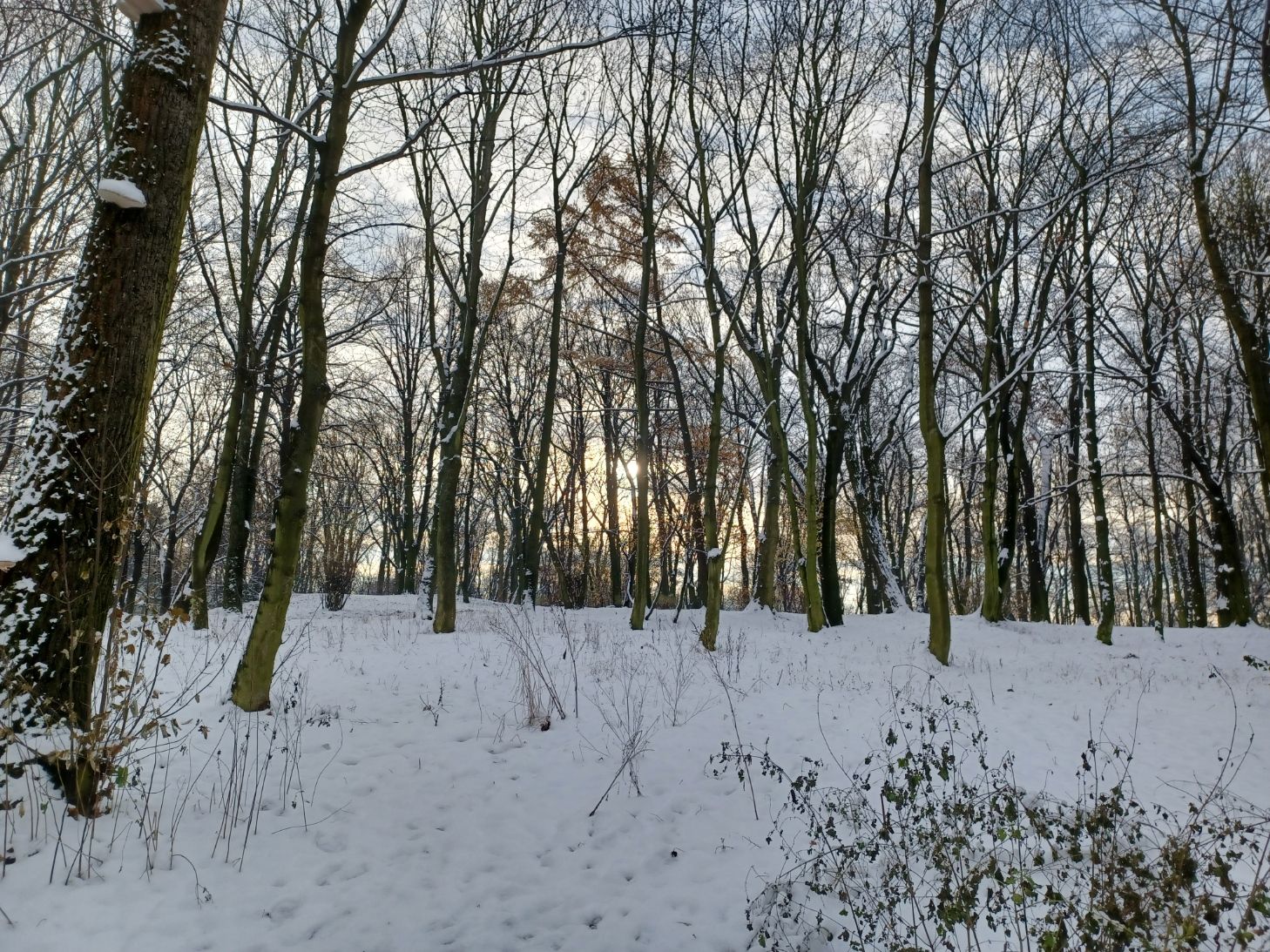 20231130_092256.jpg