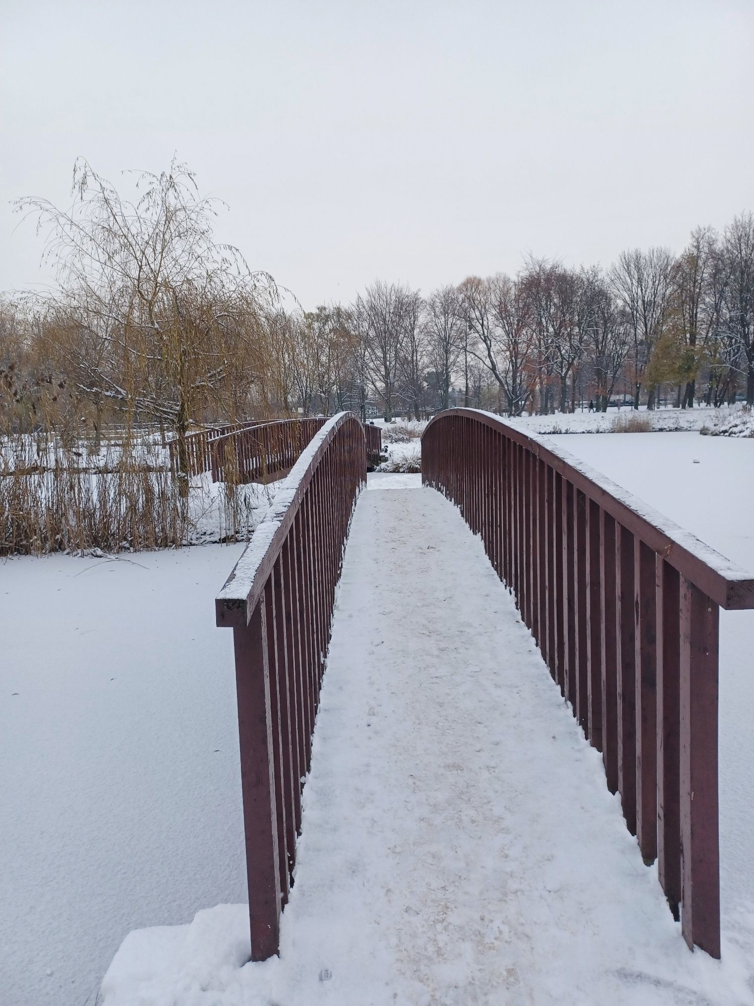 20231130_092549.jpg