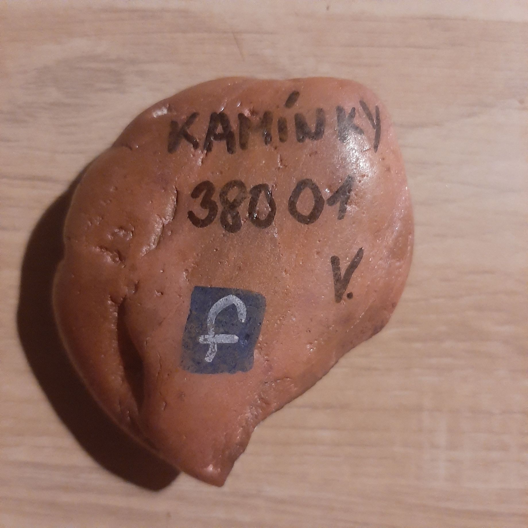 20230905_233924.jpg