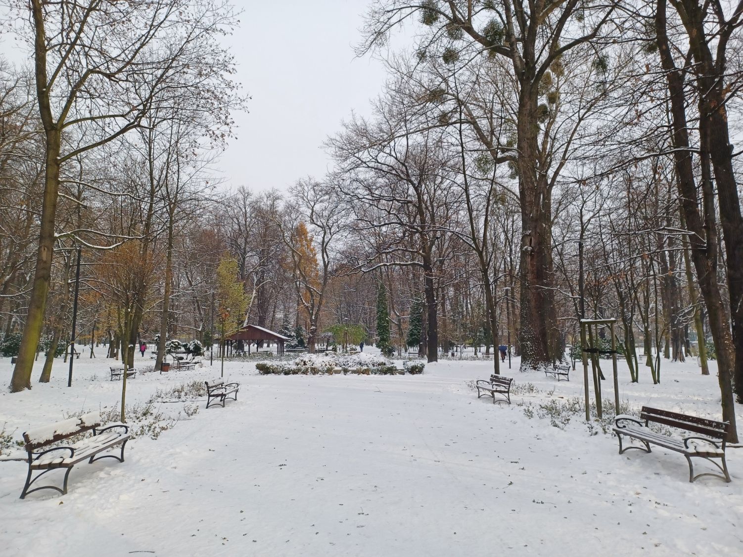 20231130_090737.jpg