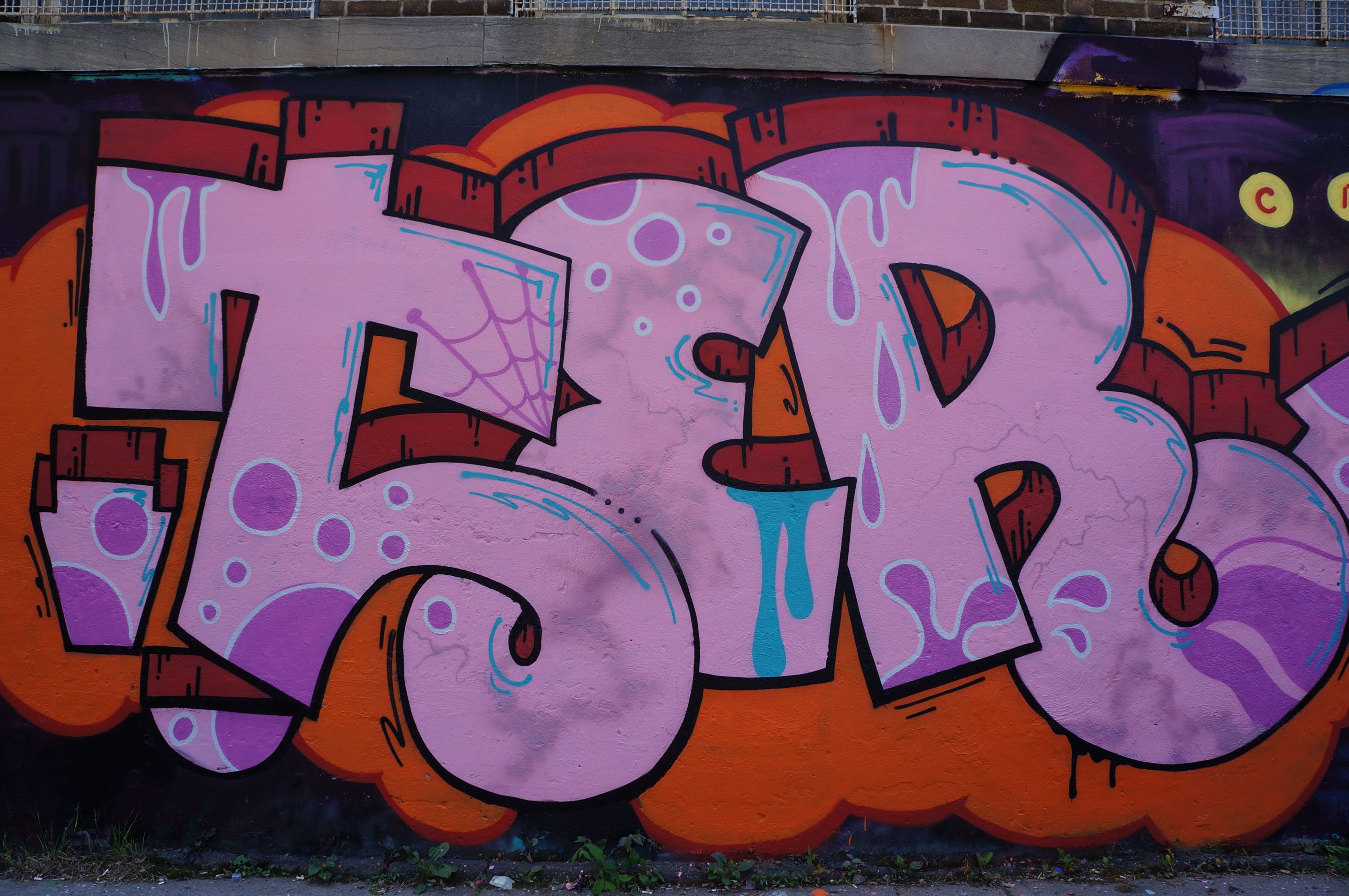 TER