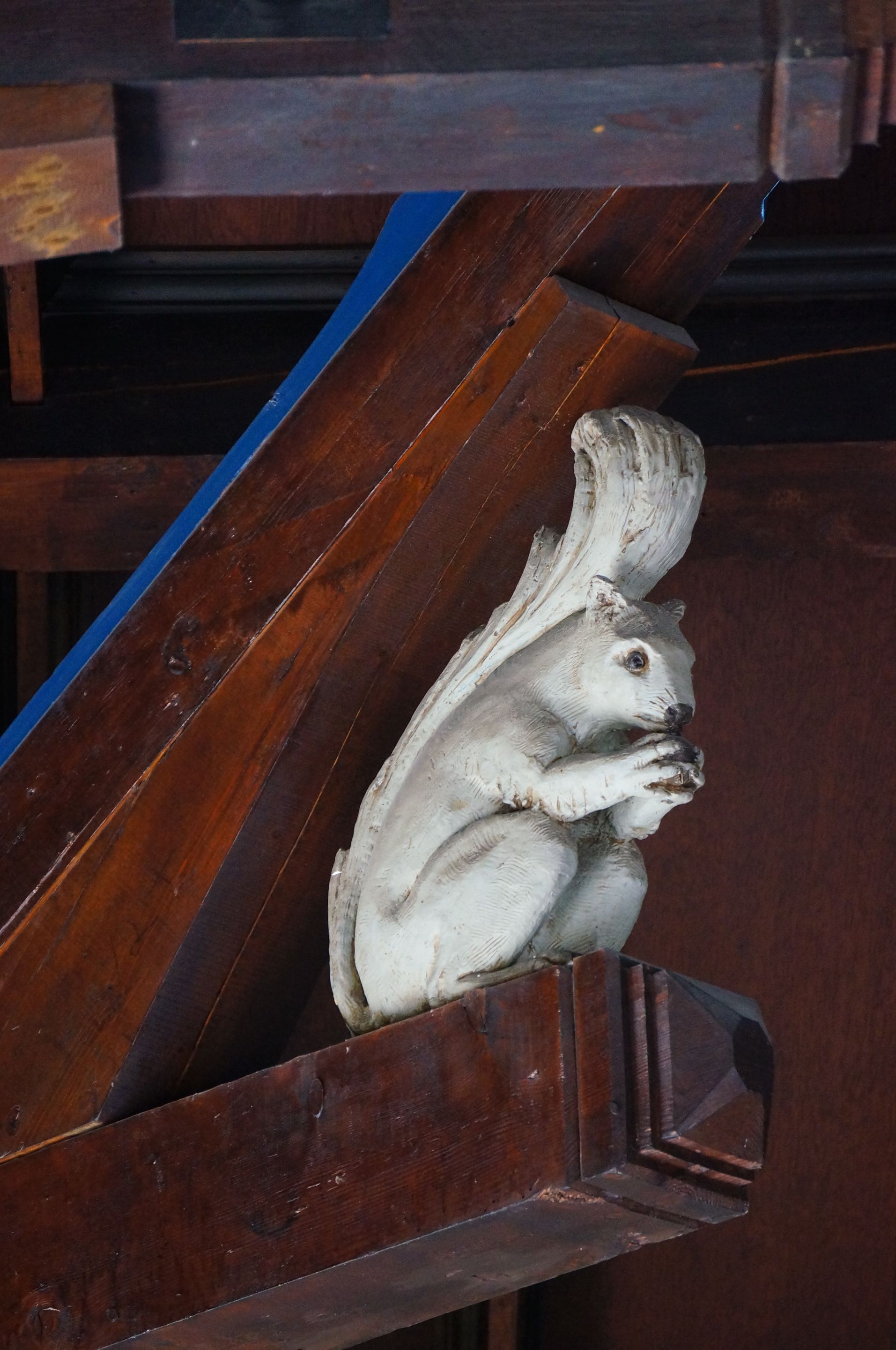Détail Écureuil