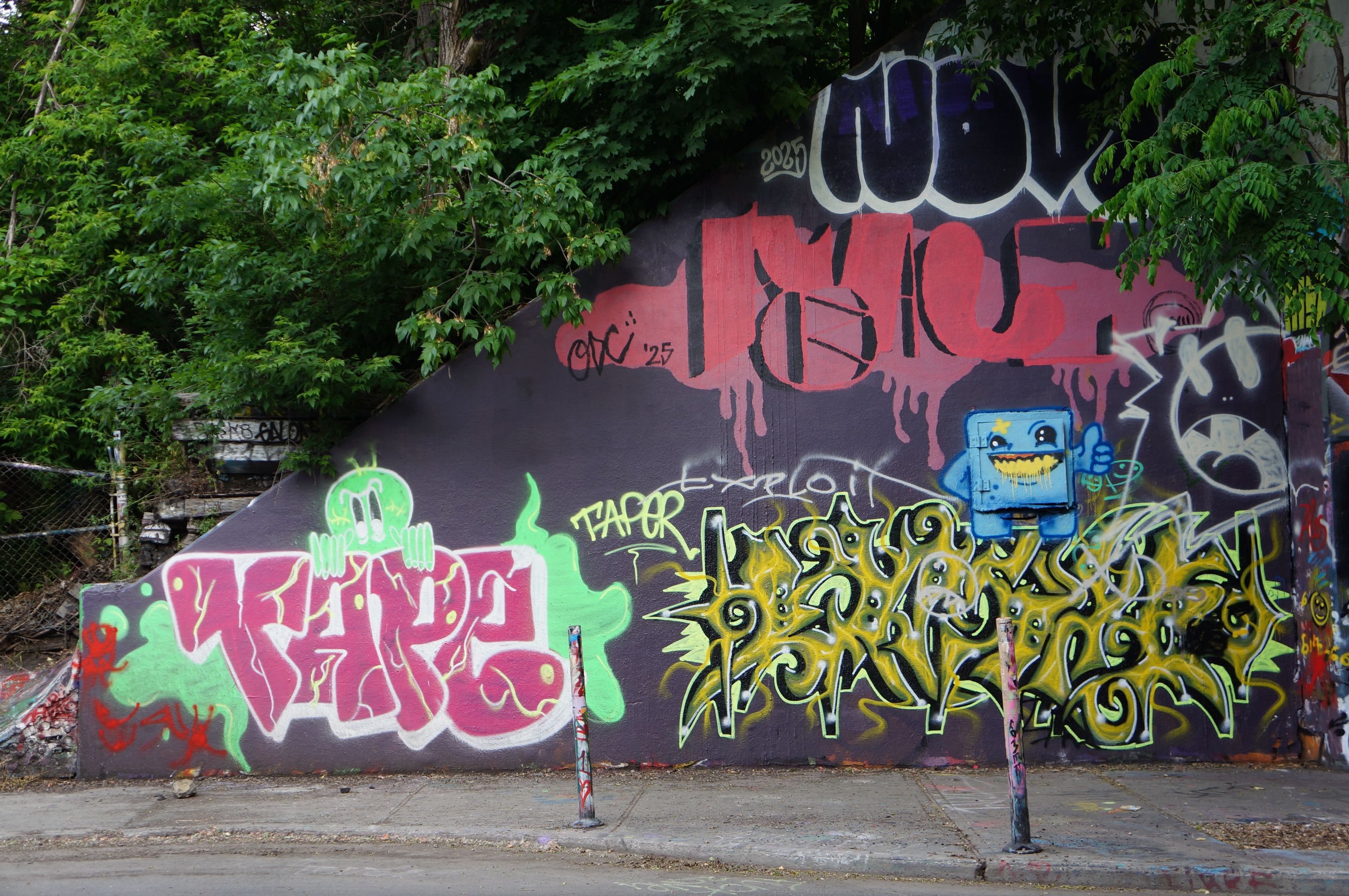 DSC08177.JPG