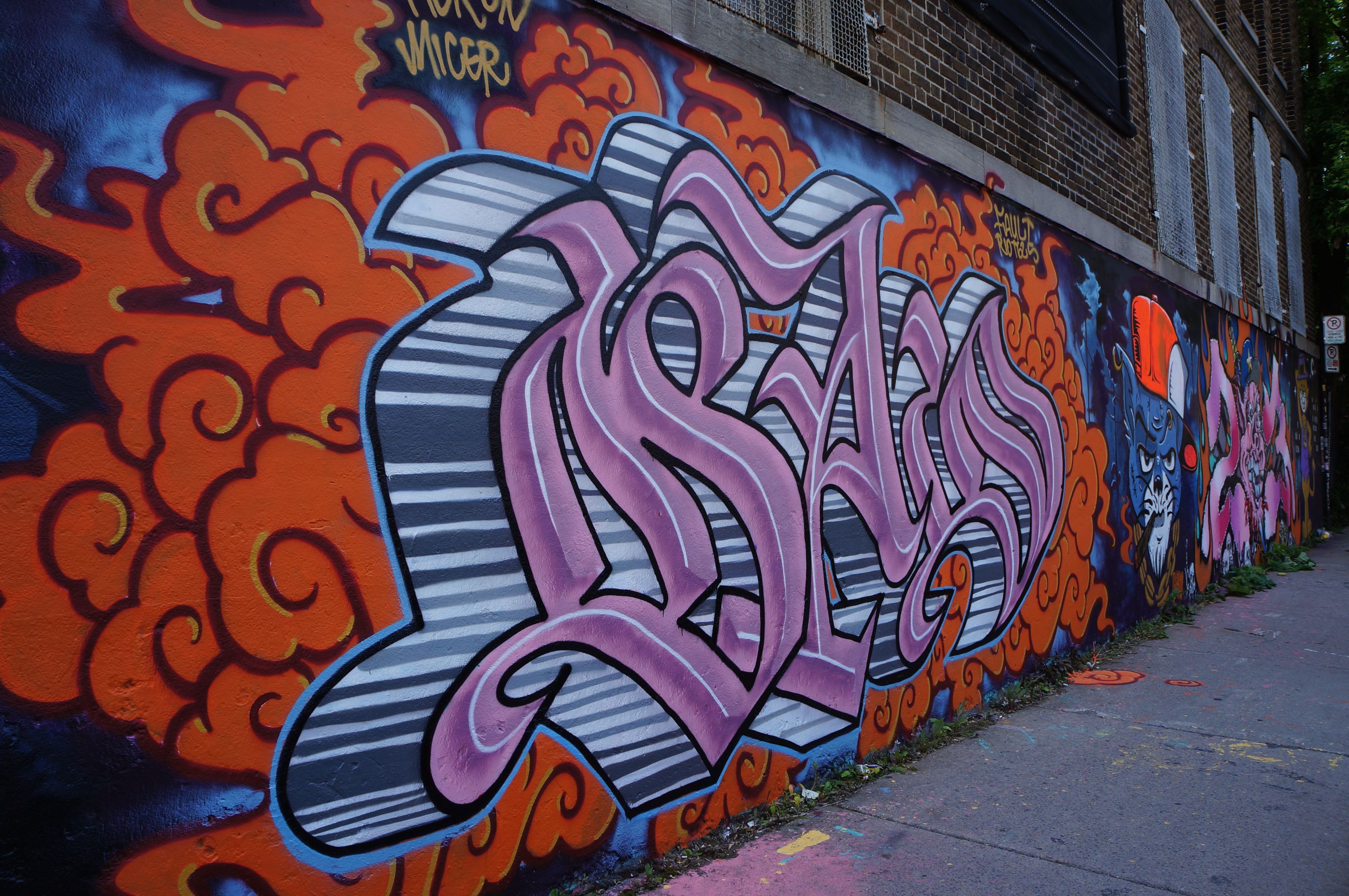 DSC08113.JPG