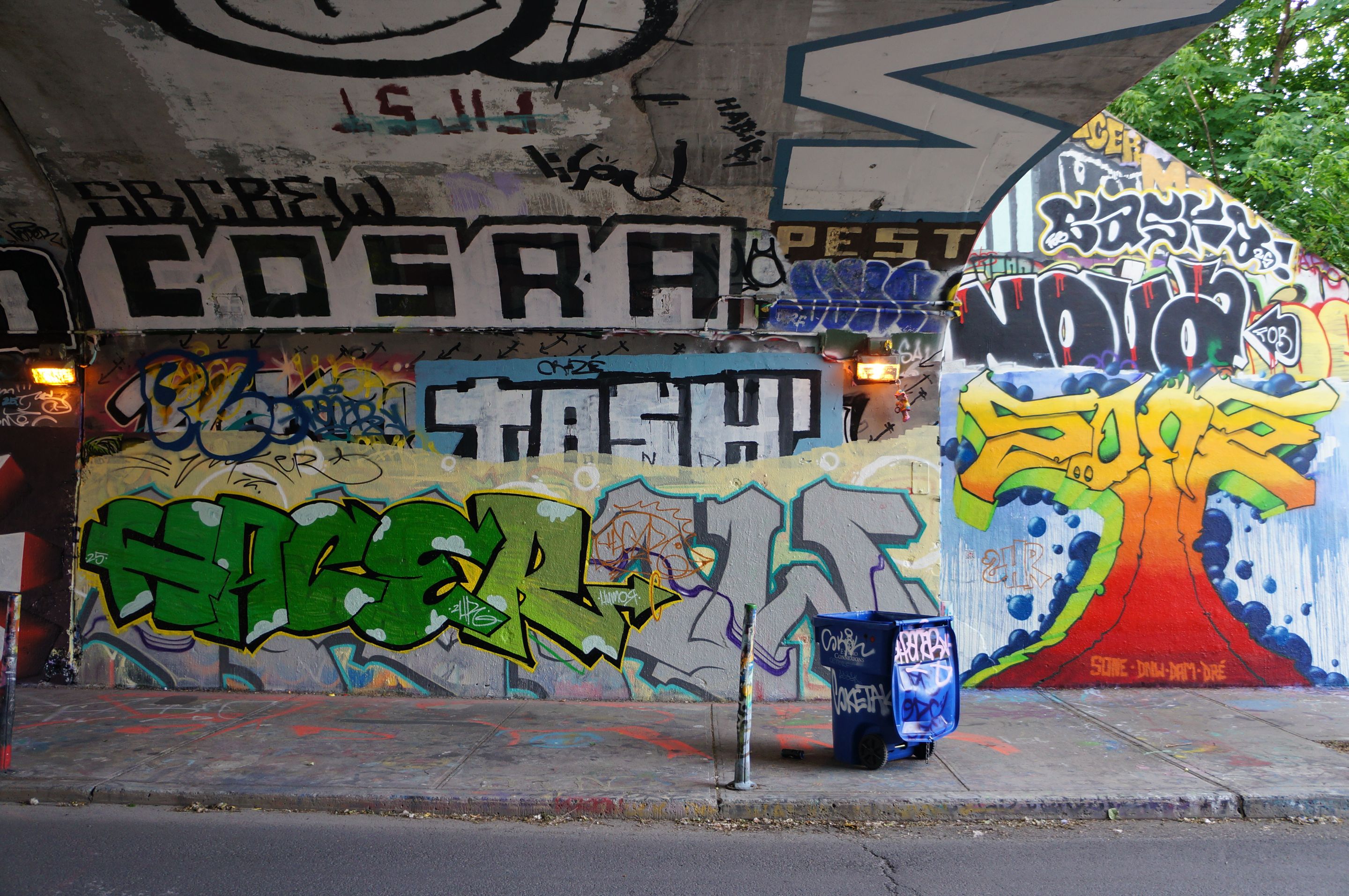 DSC08244.JPG