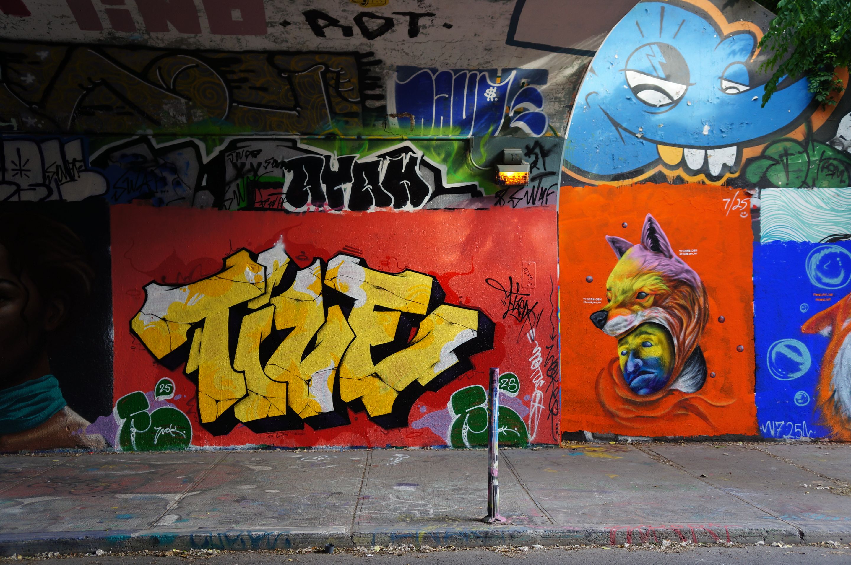 DSC08231.JPG