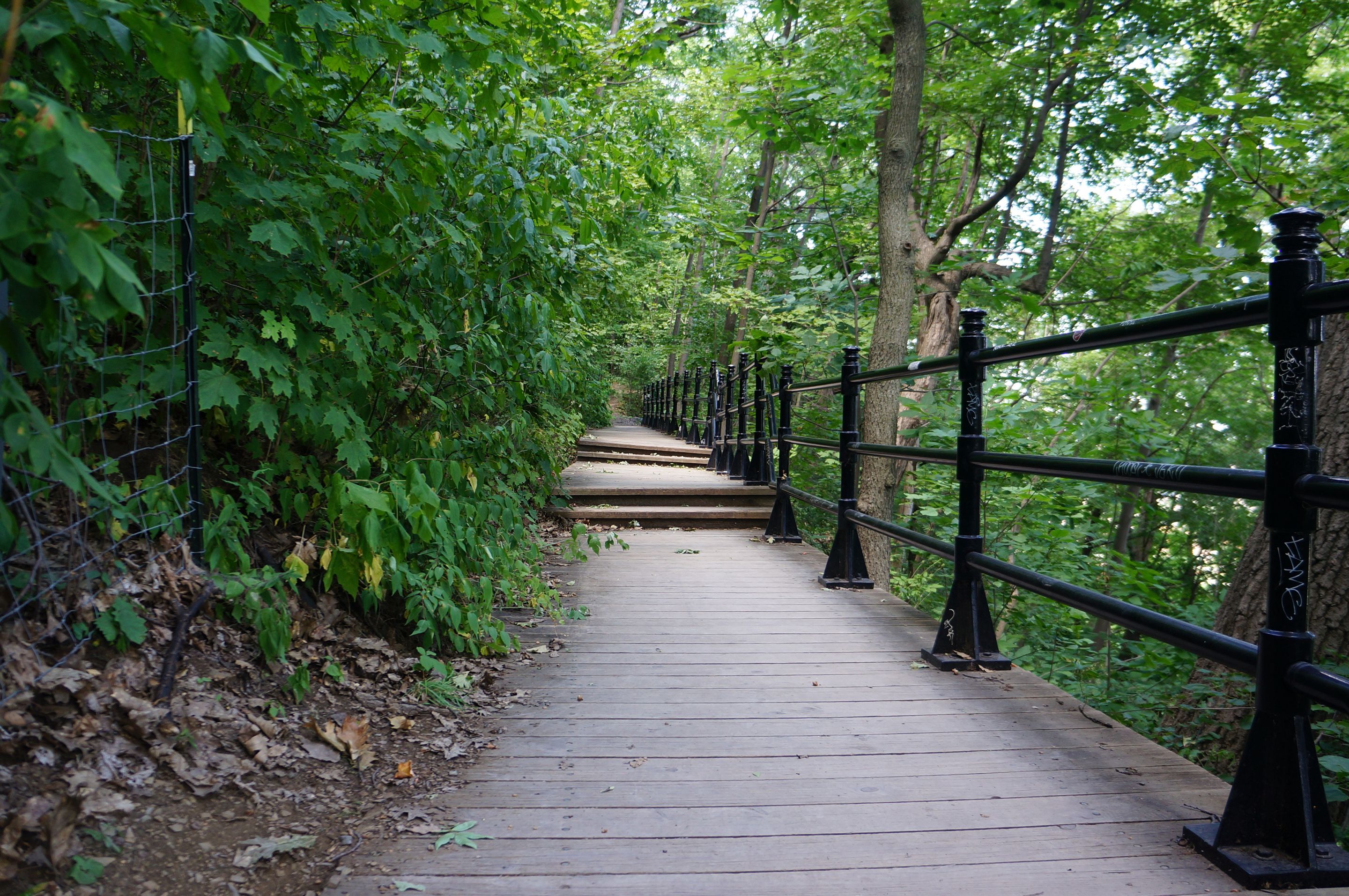 Chemin sommet