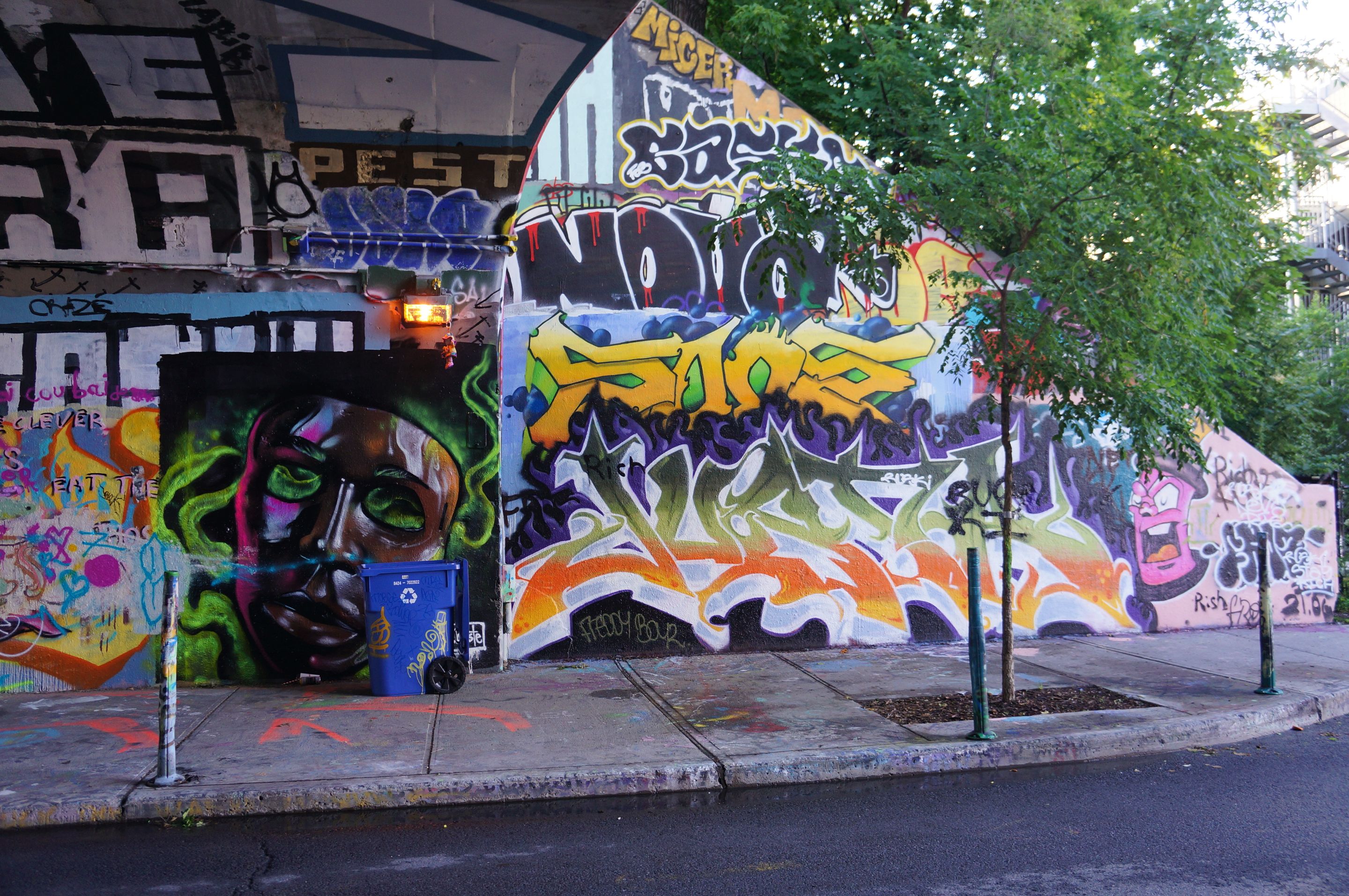 DSC08361.JPG