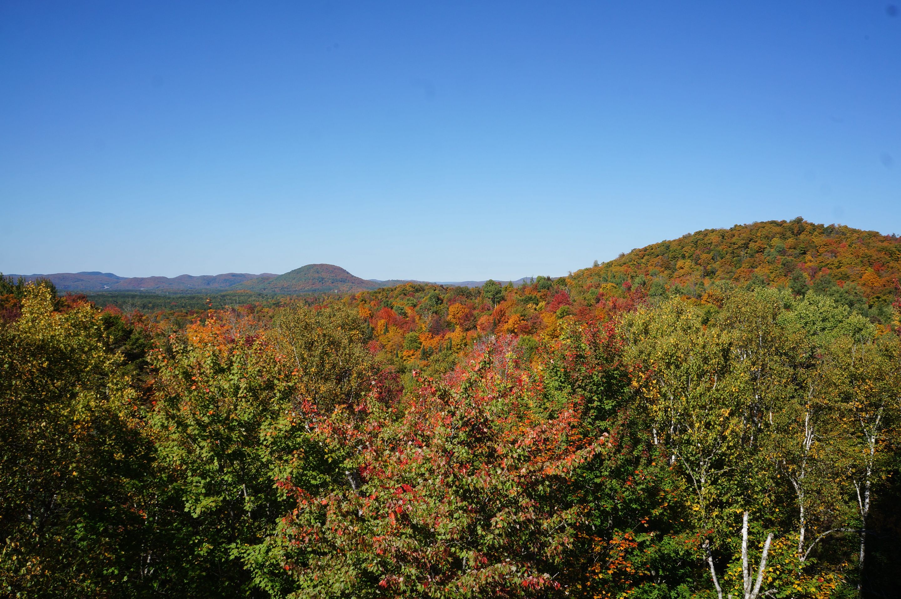 DSC09560.JPG