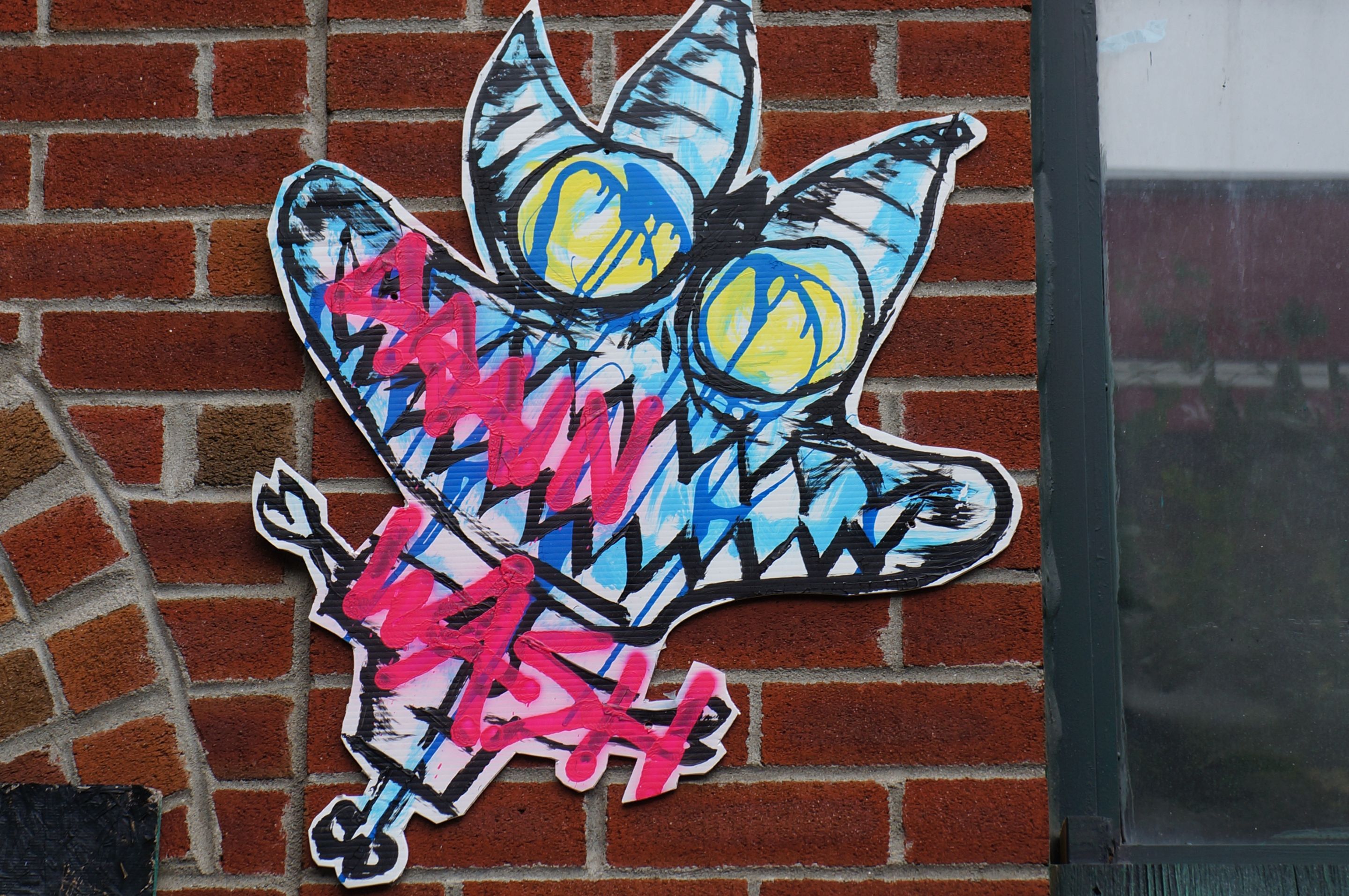 DrainWash