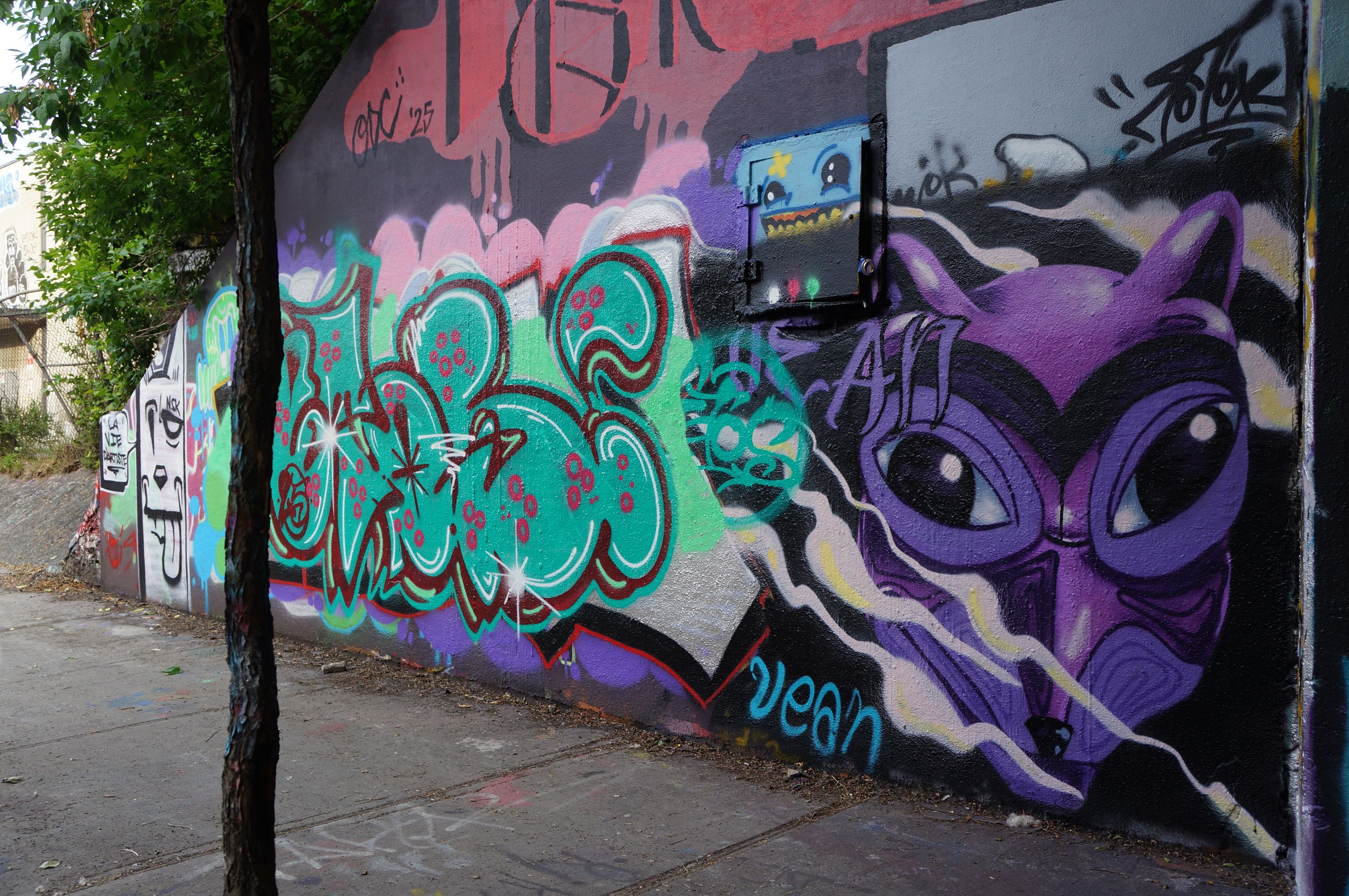 DSC08247.JPG