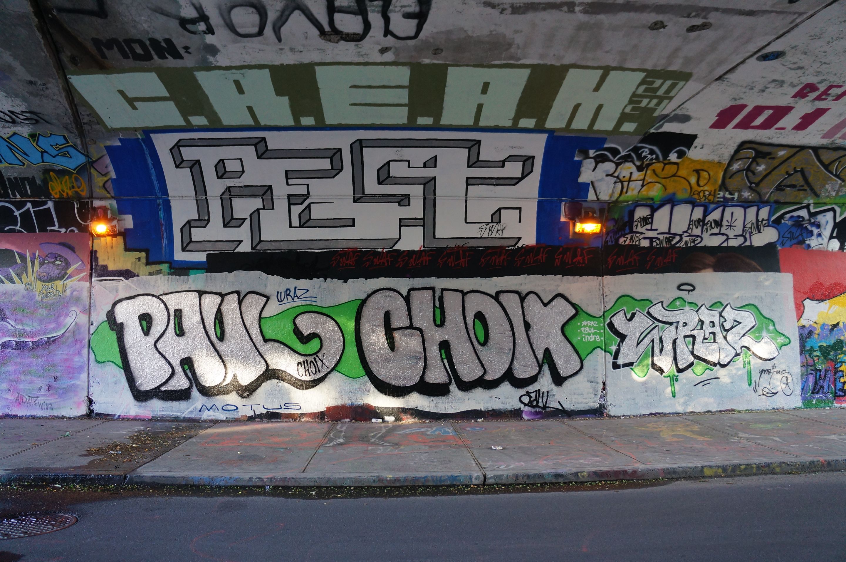 DSC08317.JPG