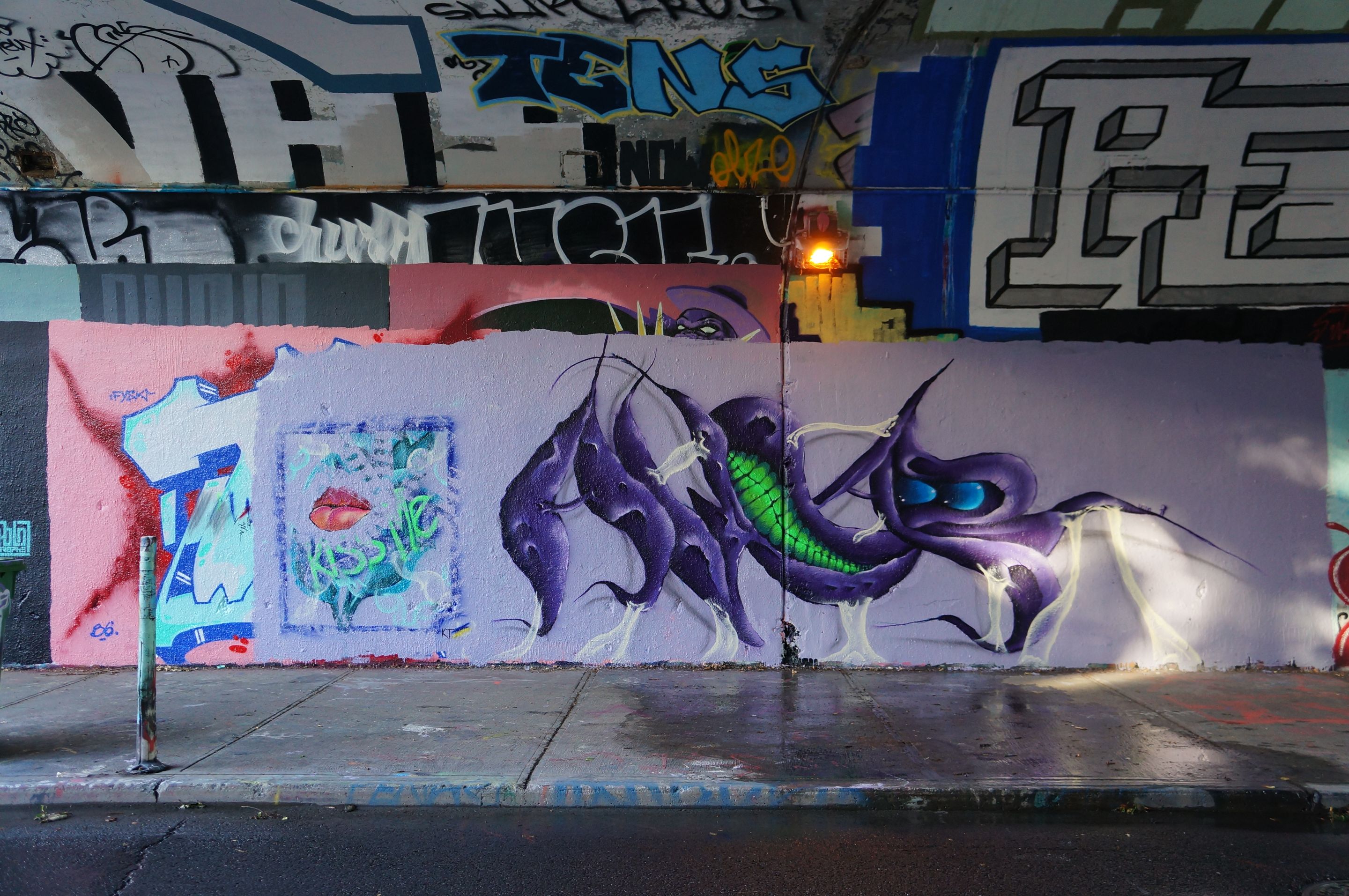 DSC08354.JPG