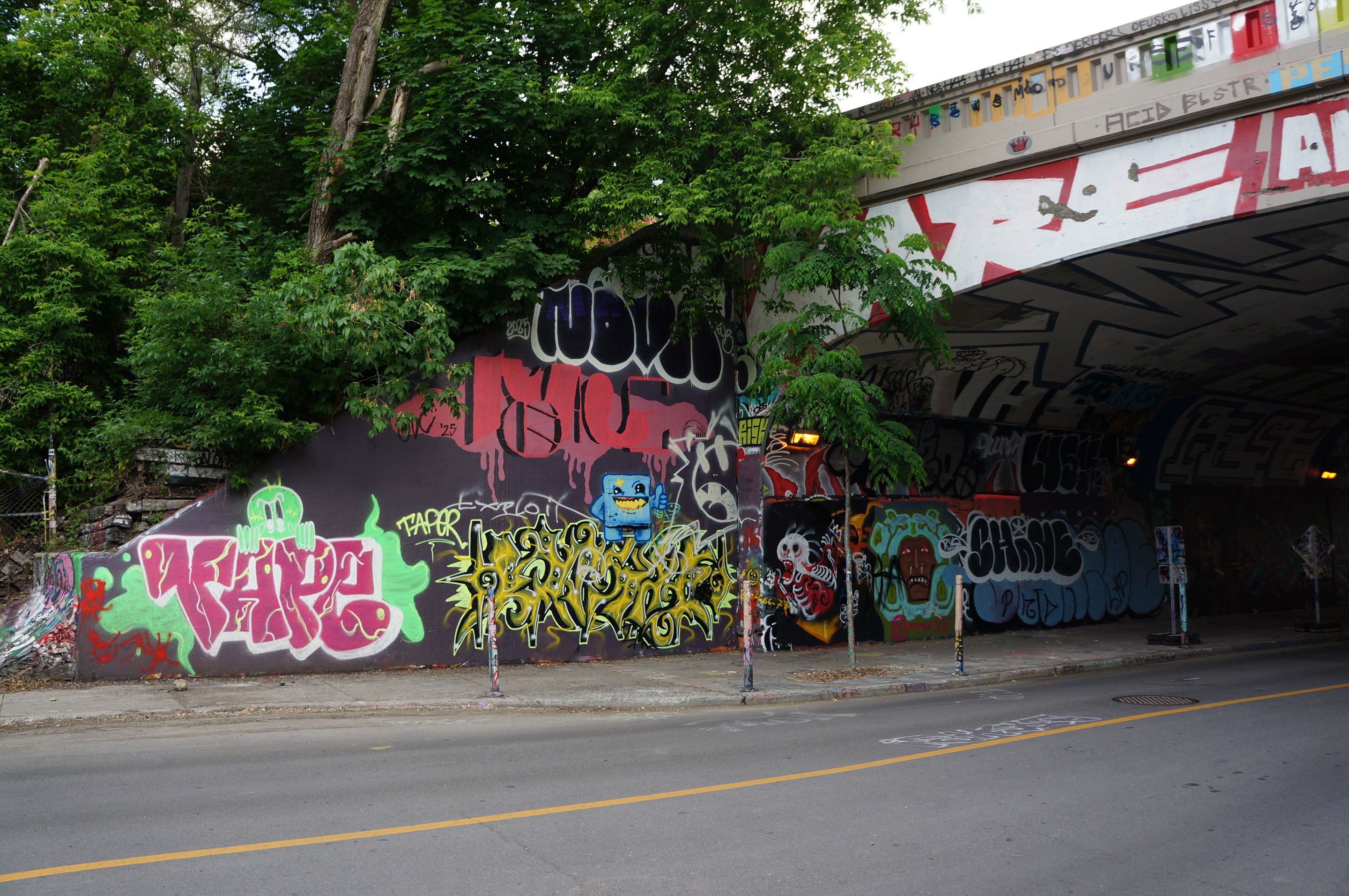 DSC08176.JPG