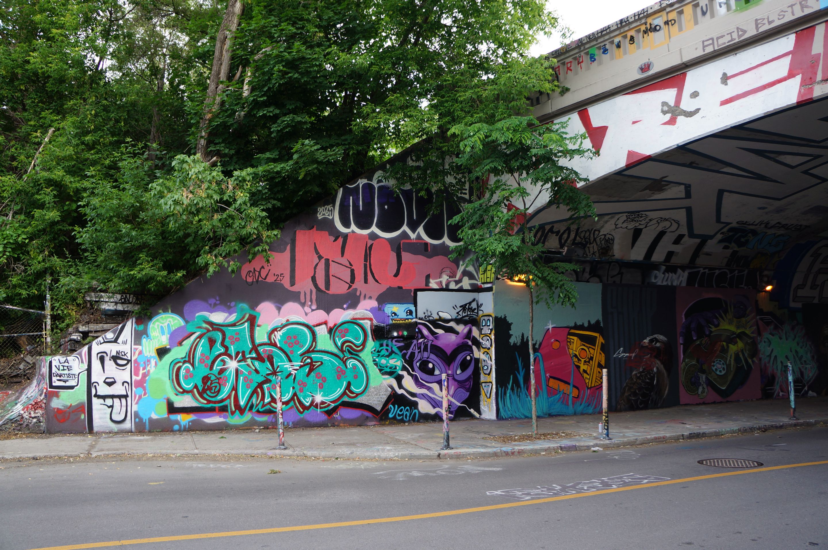 DSC08221.JPG