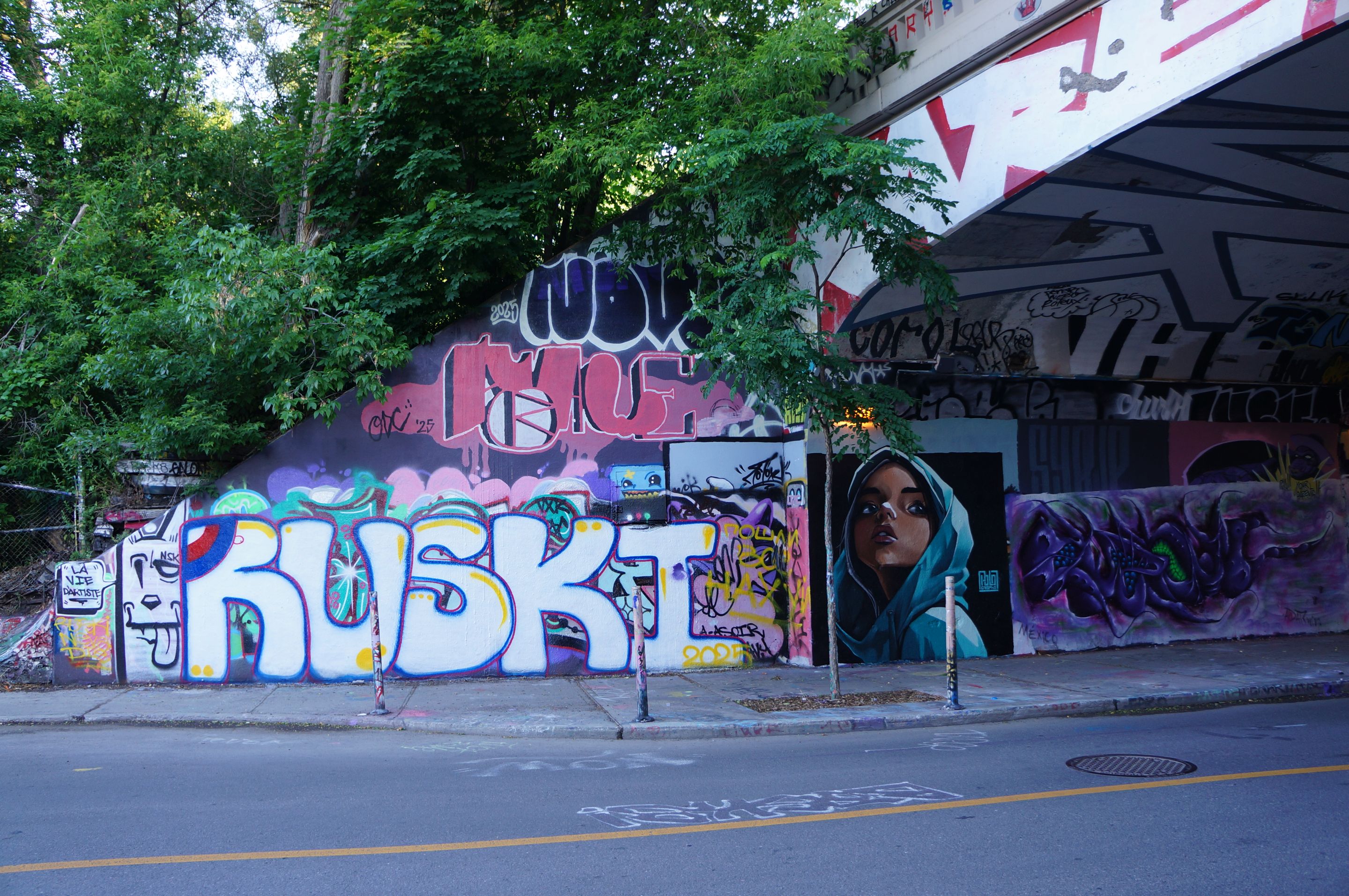 DSC08312.JPG