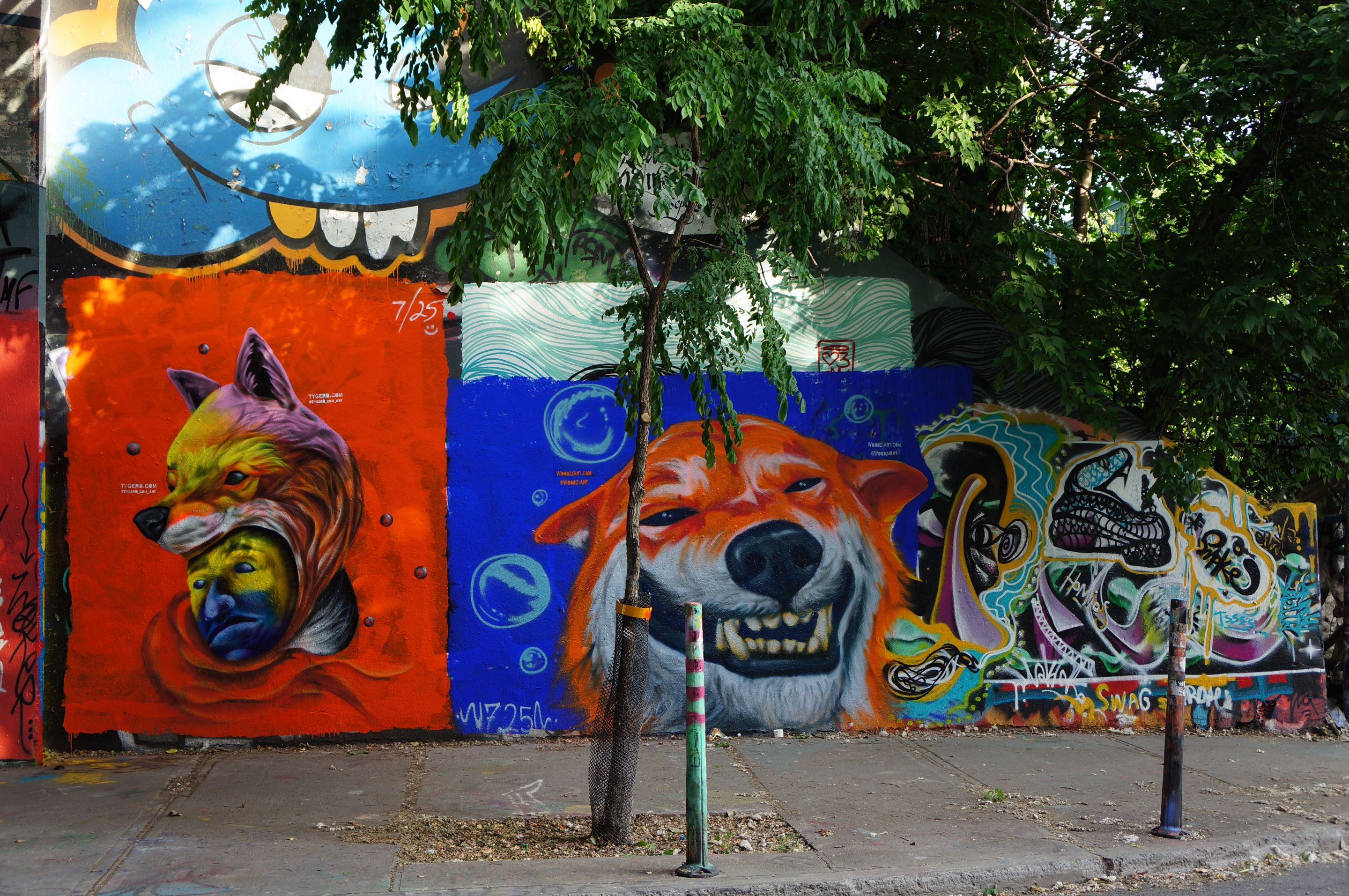 Woodzi & Tygers