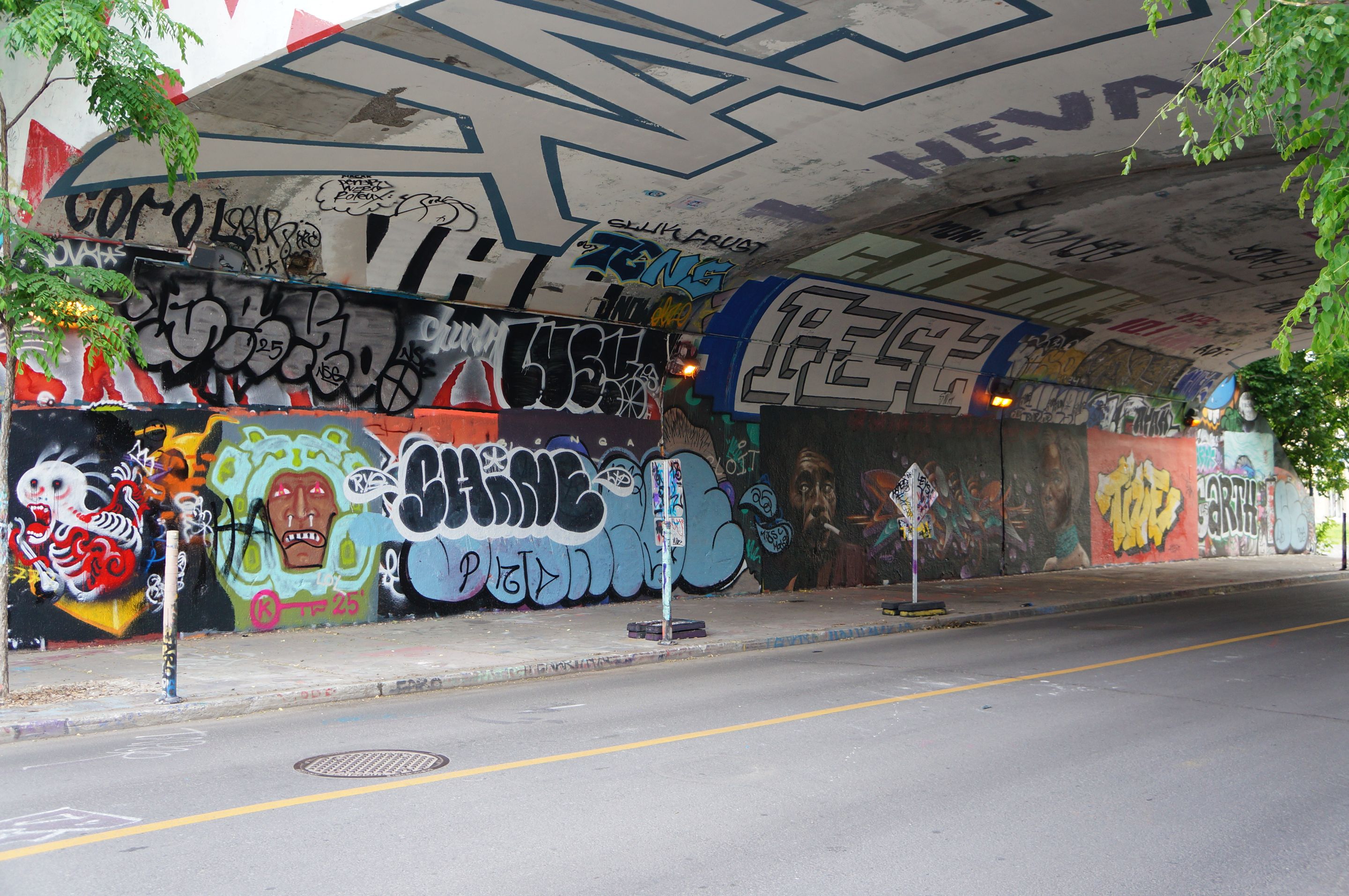 DSC08178.JPG
