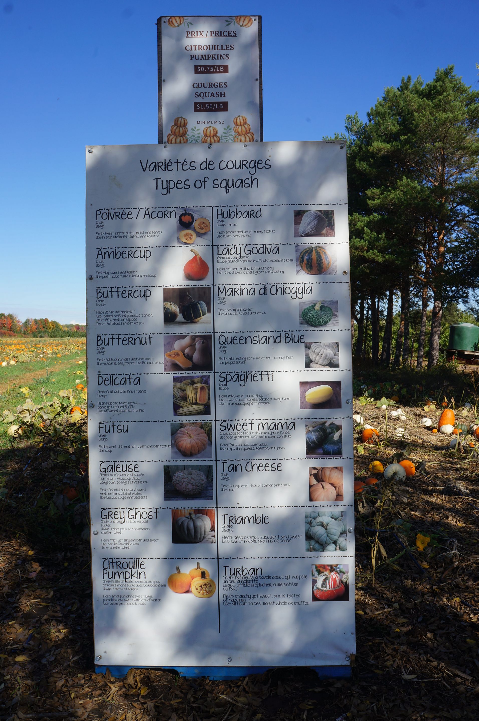 Variétés de courges