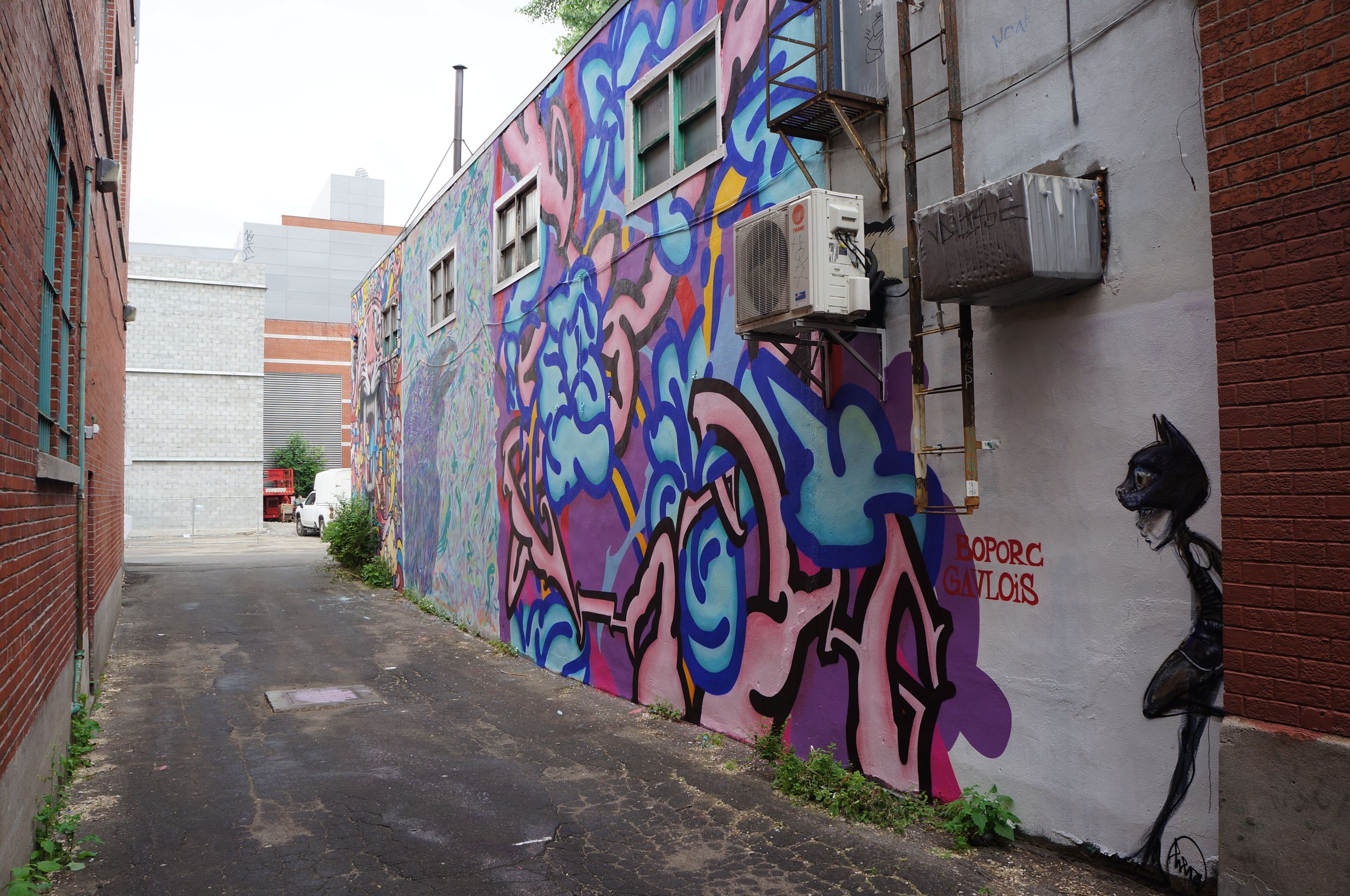 DSC08187.JPG