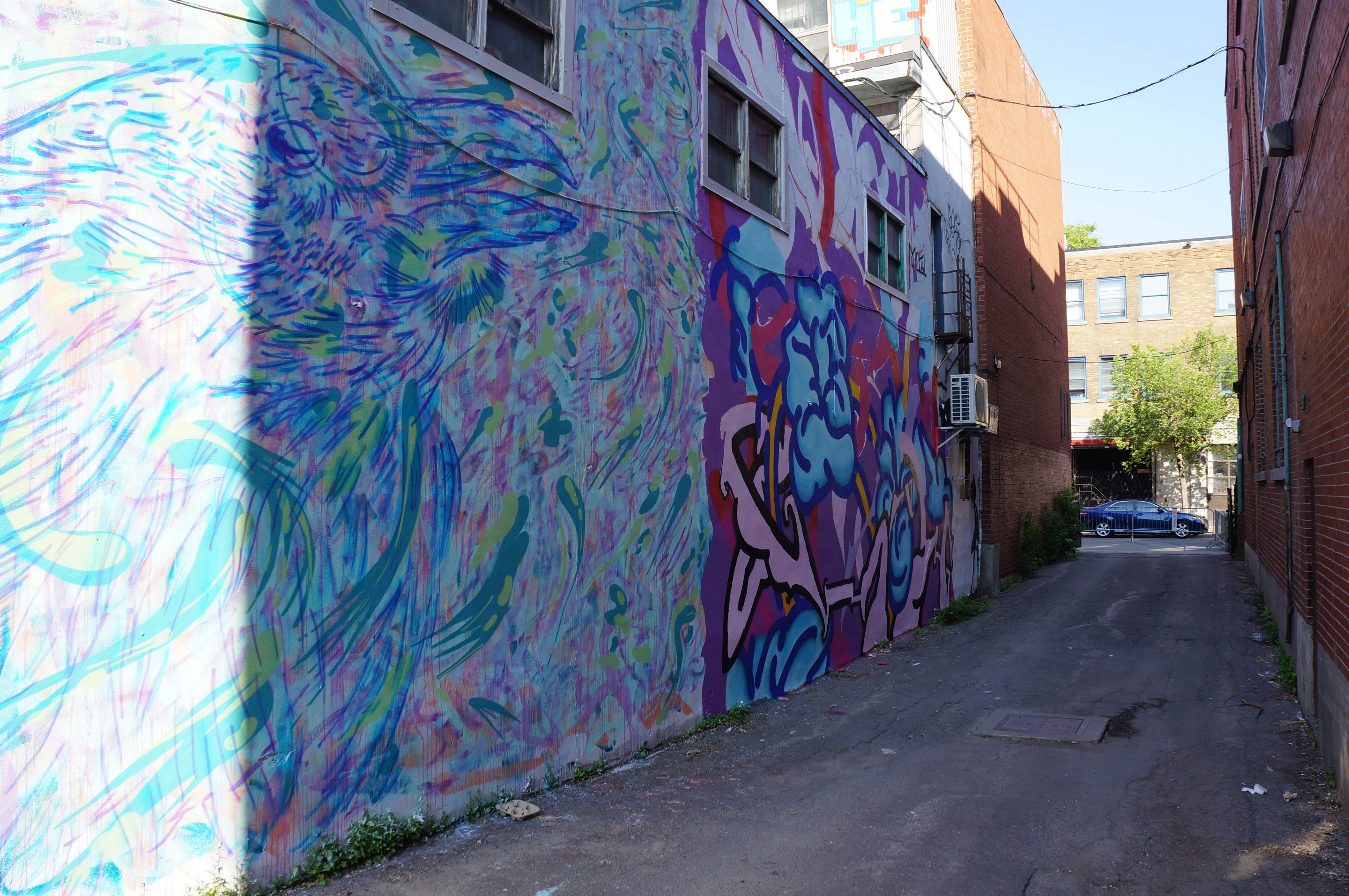 DSC08130.JPG