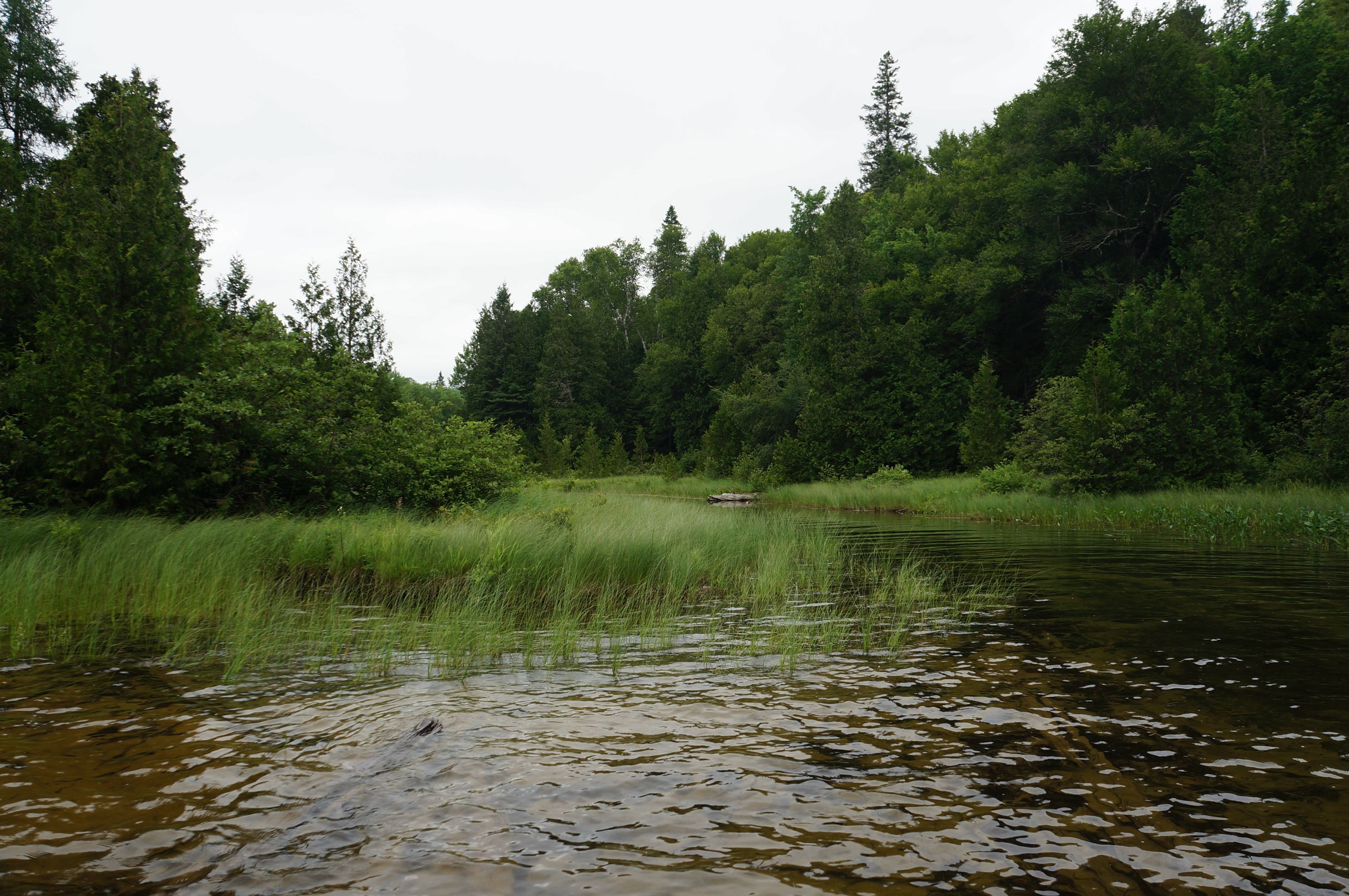 DSC08483.JPG