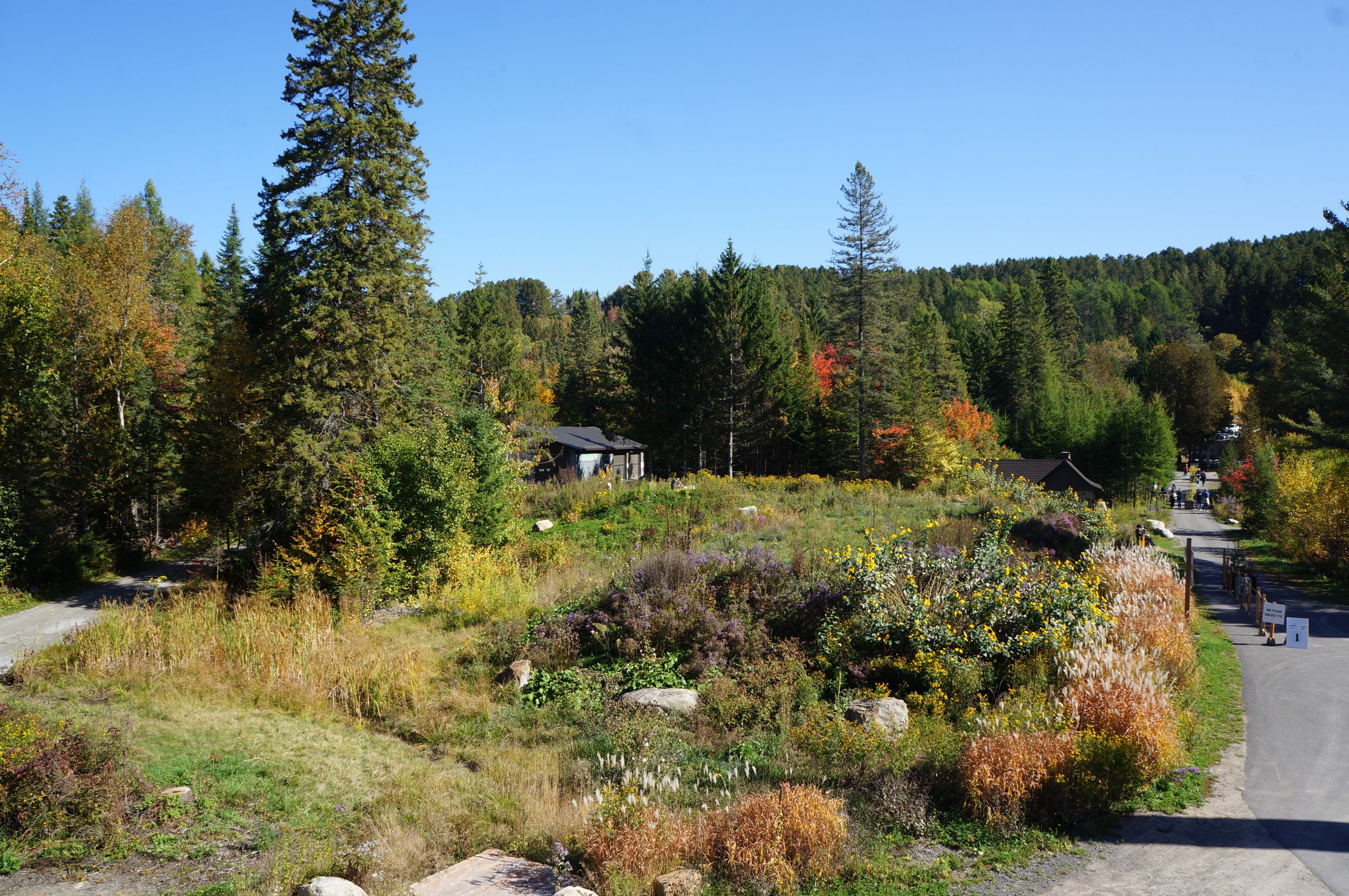 Départ Chemin des Cimes