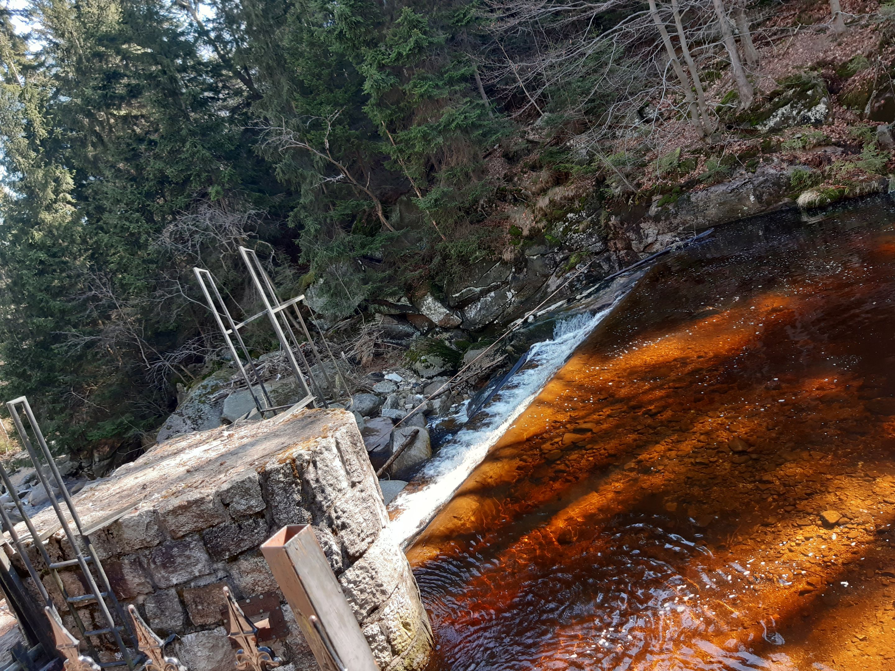 20250404_122138.jpg