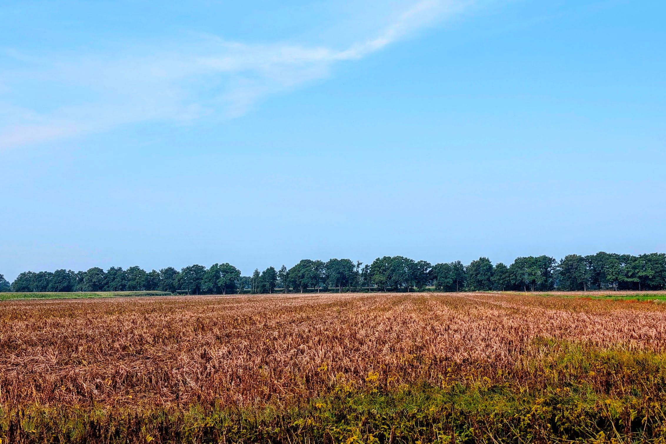 PXL_20250814_082350295-EDIT.jpg