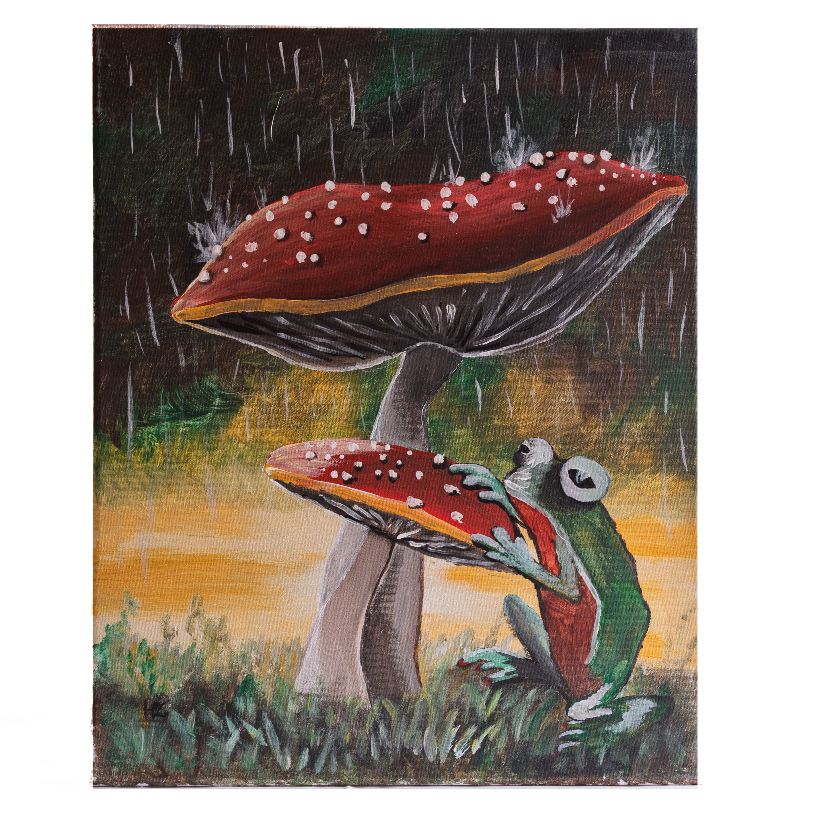 Kikker in regen.jpg