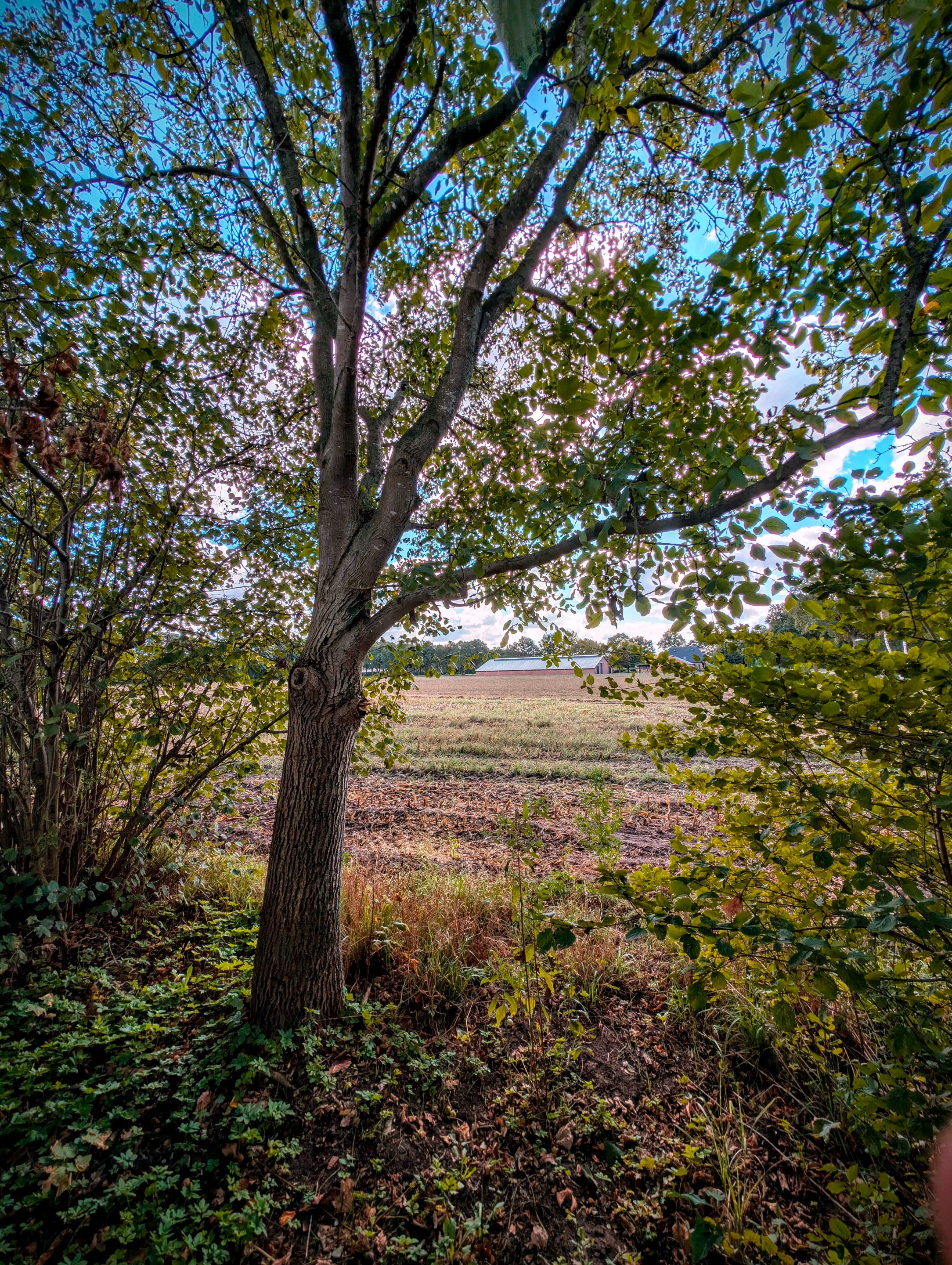 PXL_20250923_101622667-EDIT.jpg