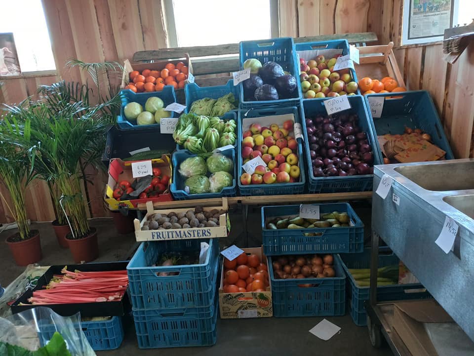 fruit.jpg