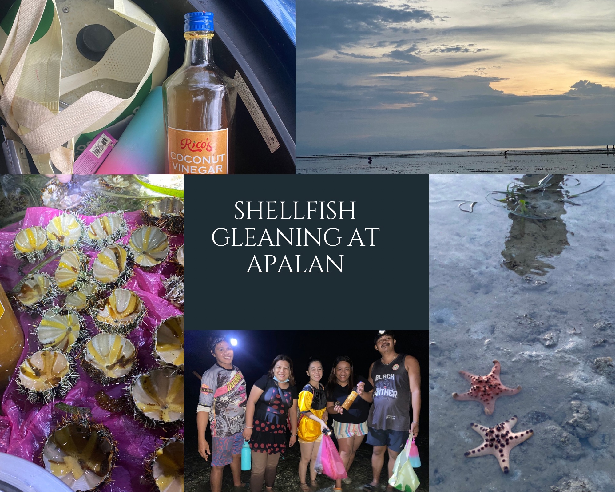 Shellfish Gleaning At Apalan