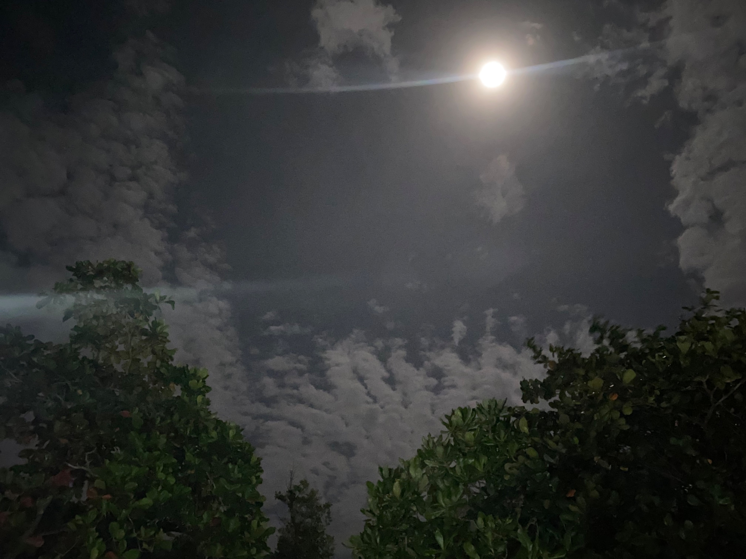 83612357-CA10-4F1F-BCD6-5E942D57445A.jpeg