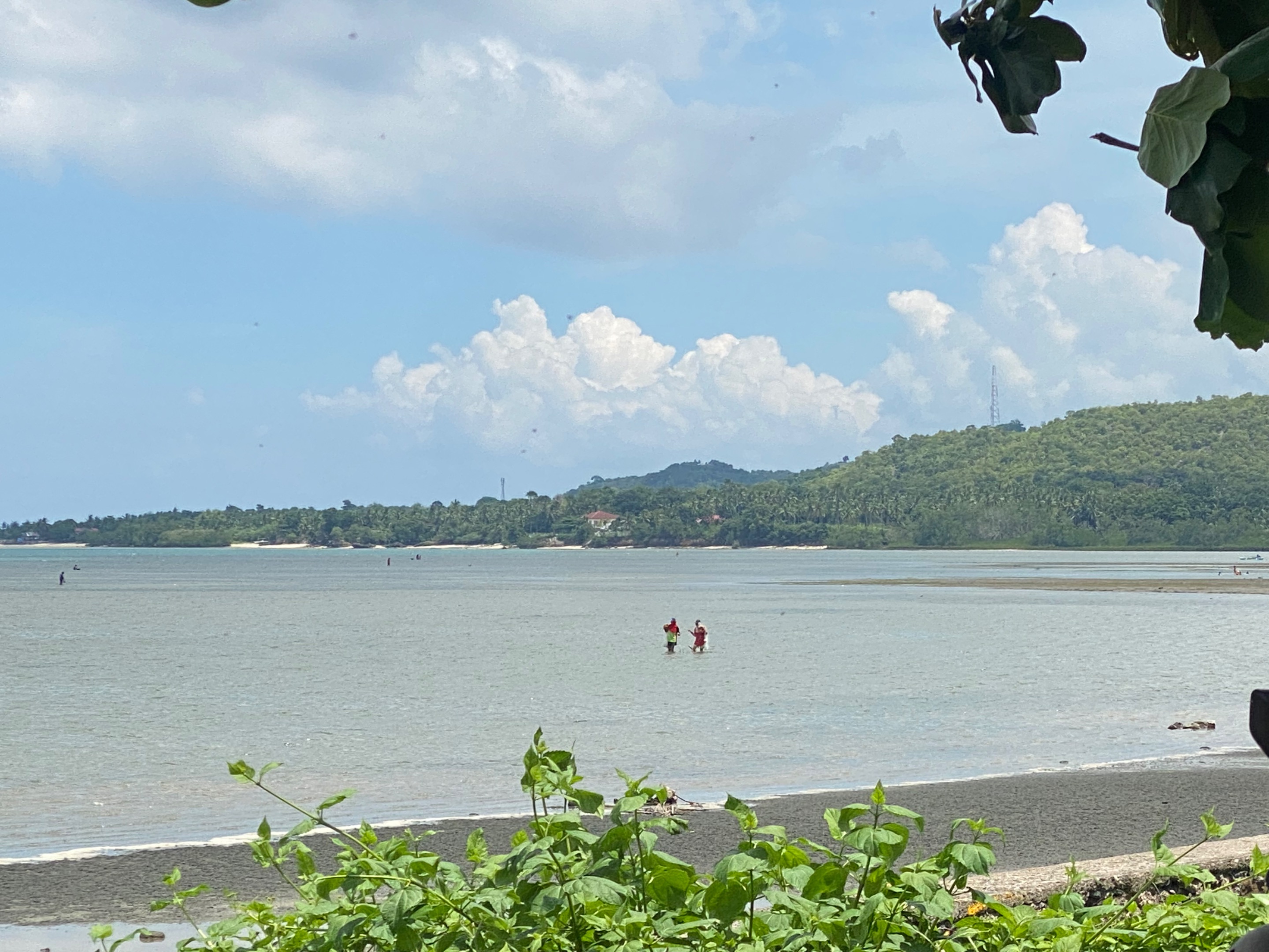 7AE15D12-4D39-48EC-B9D6-68C1AEB9775B.jpeg