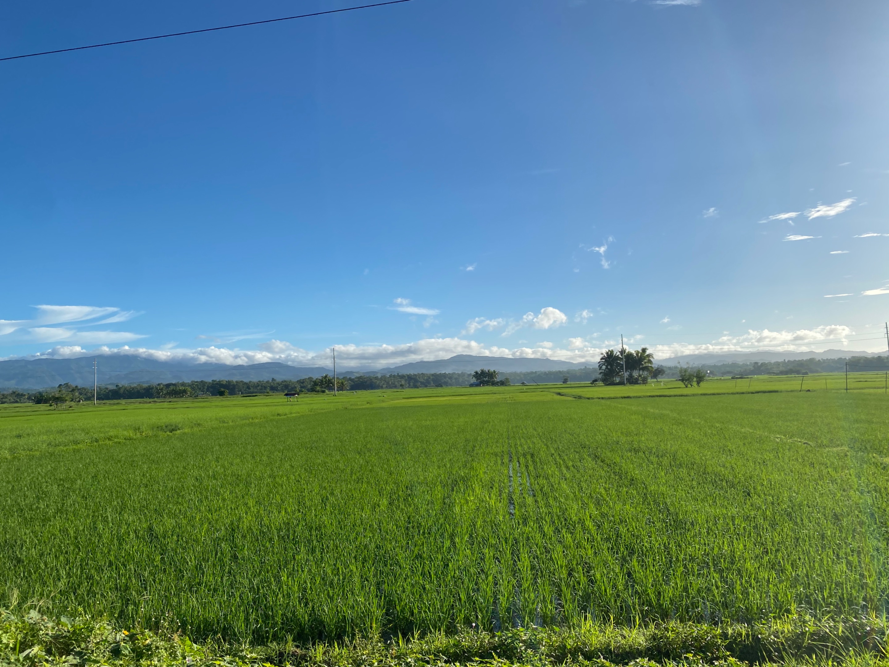 38417BCC-D06C-420A-B097-20E2E812075A.jpeg