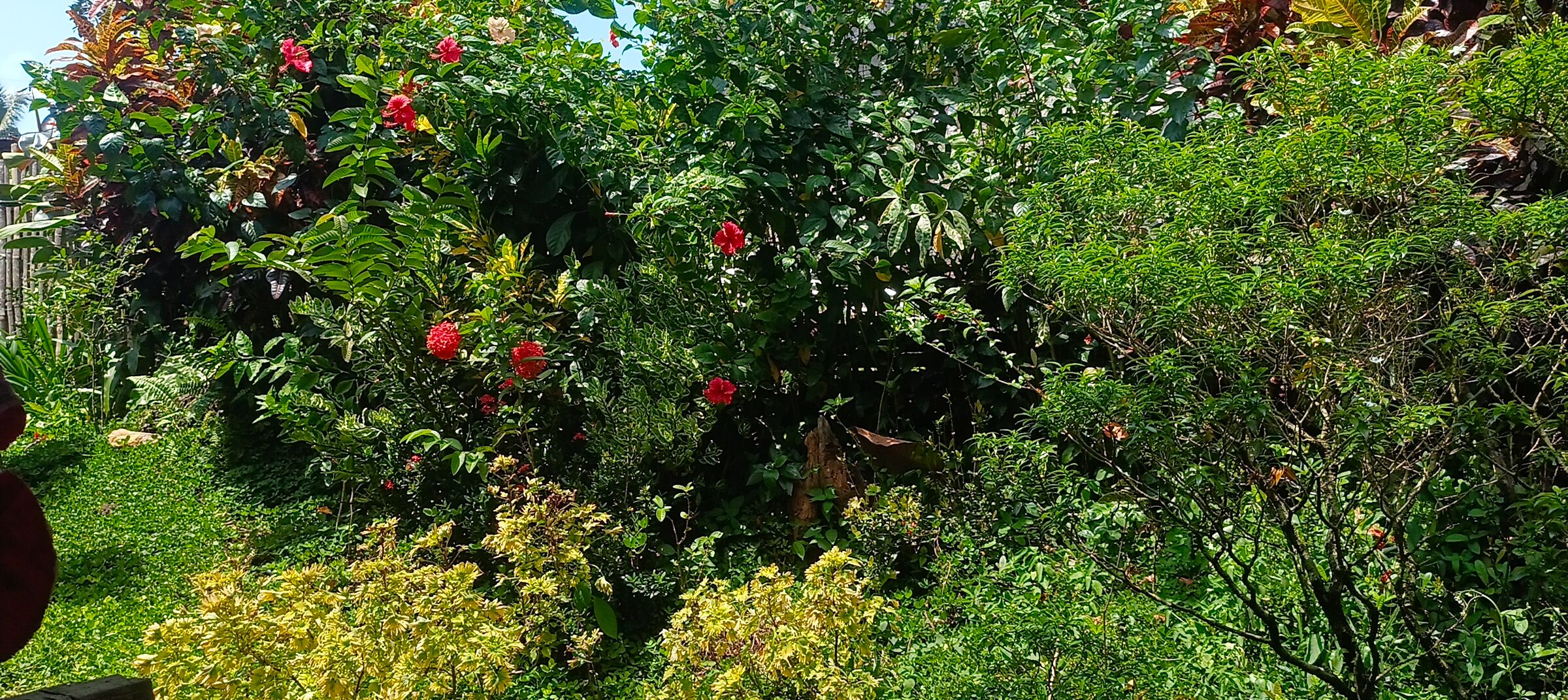 IMG20250726125906.jpg