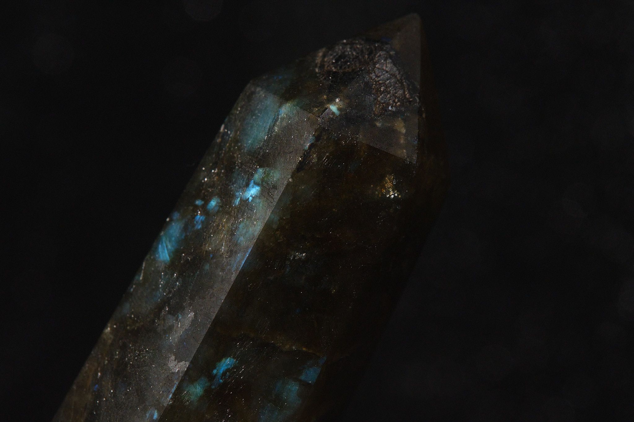 DSCF9065.jpg