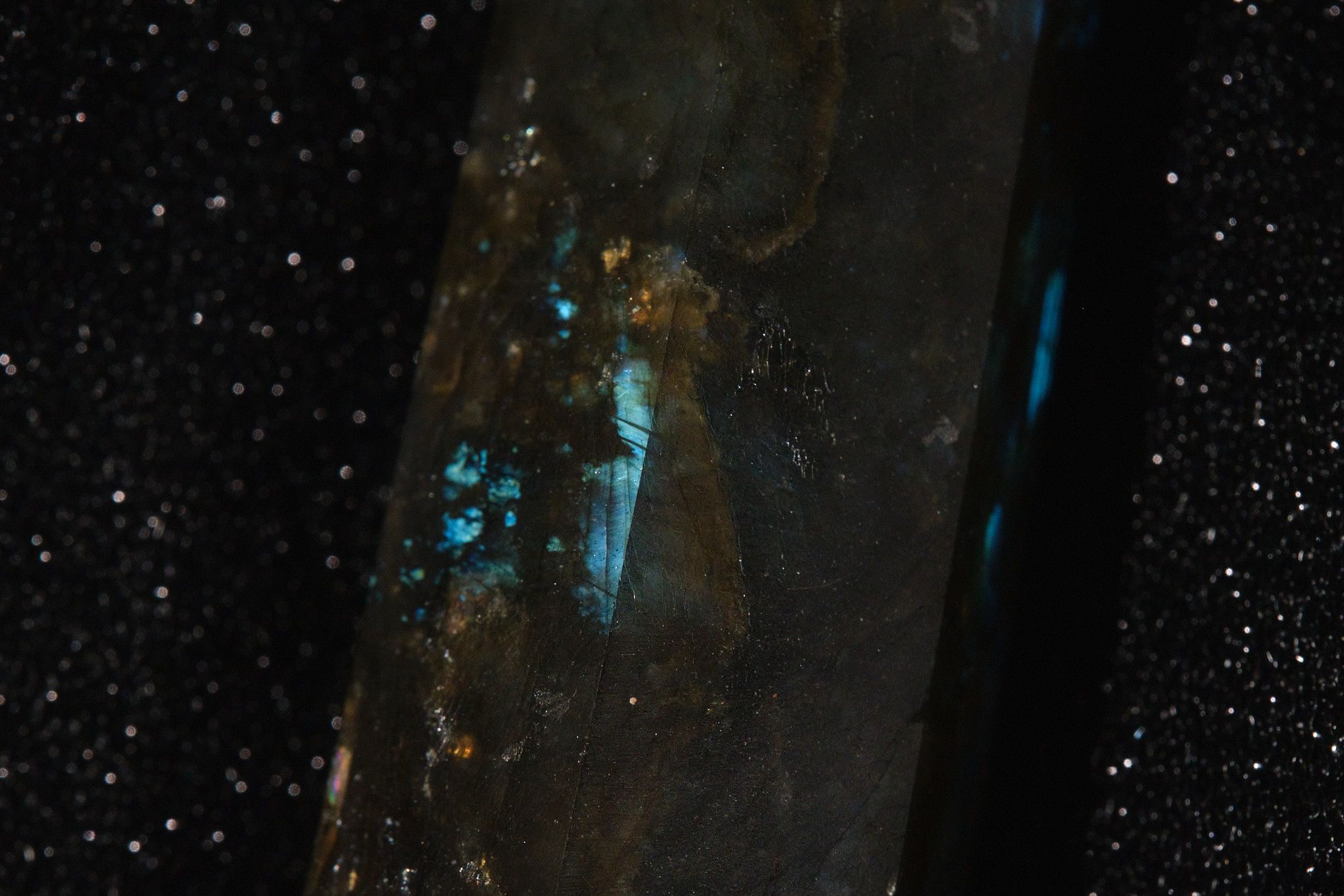 DSCF9053.jpg