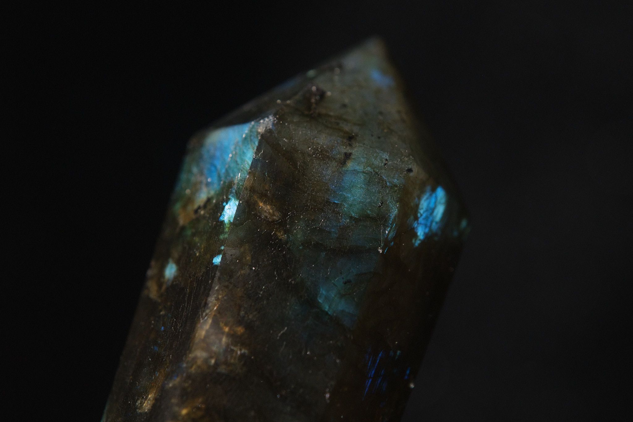 DSCF9072.jpg