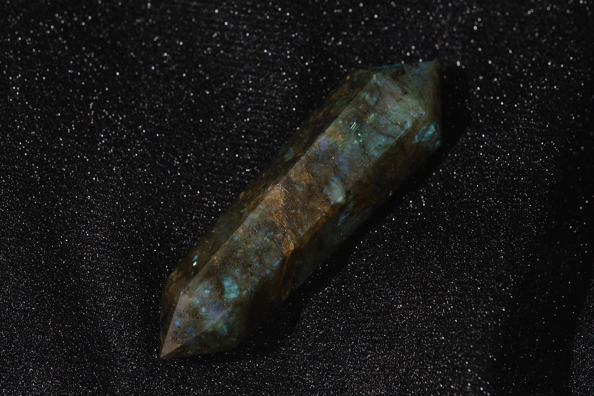DSCF9215.jpg