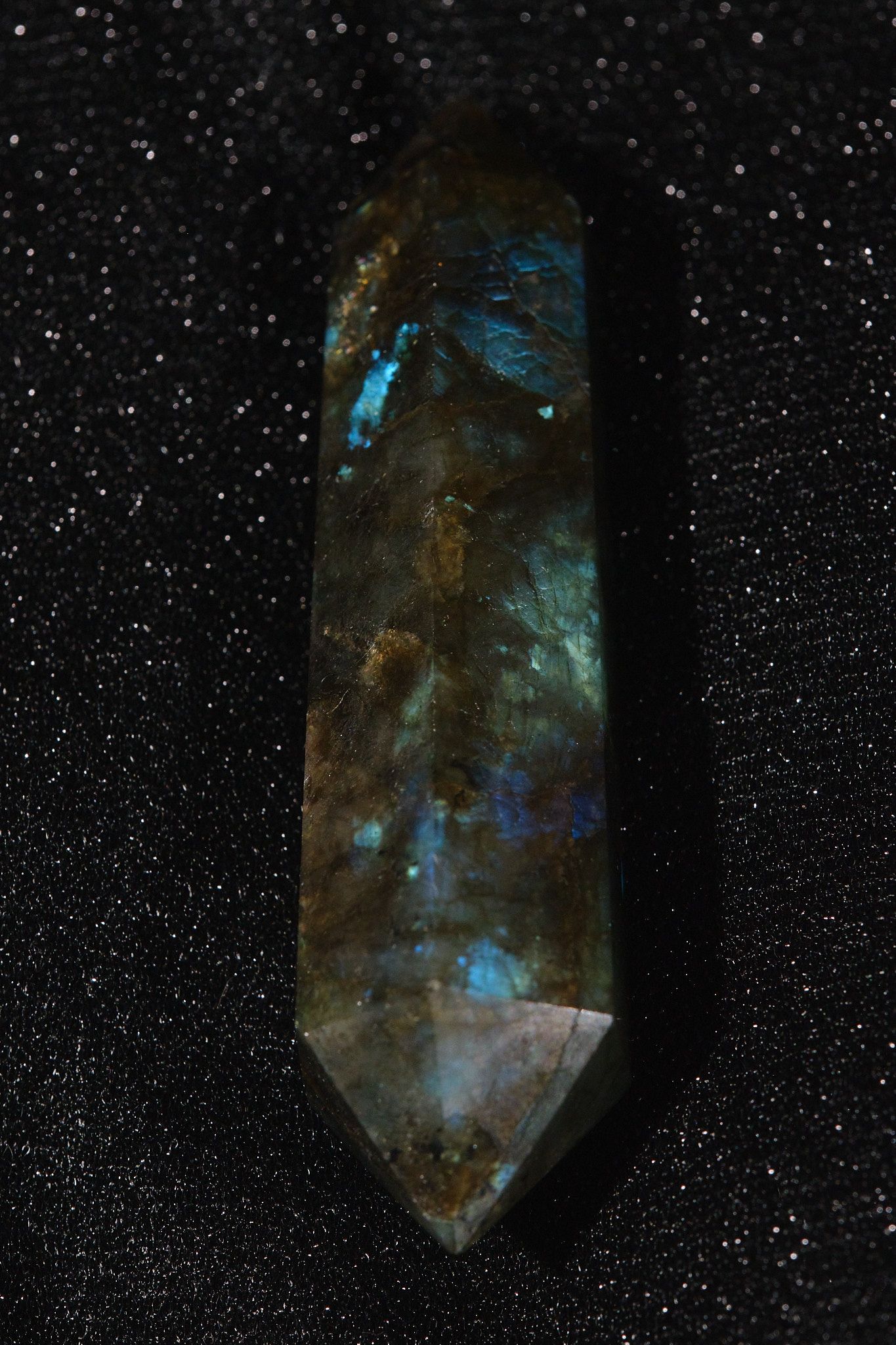 DSCF9109.jpg