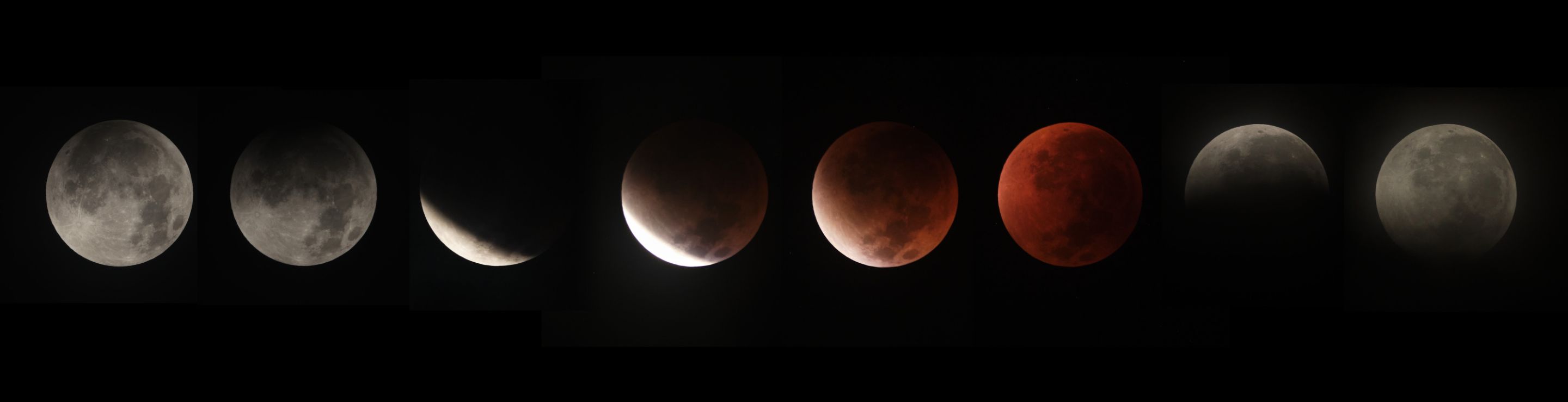 blood moon all.jpg