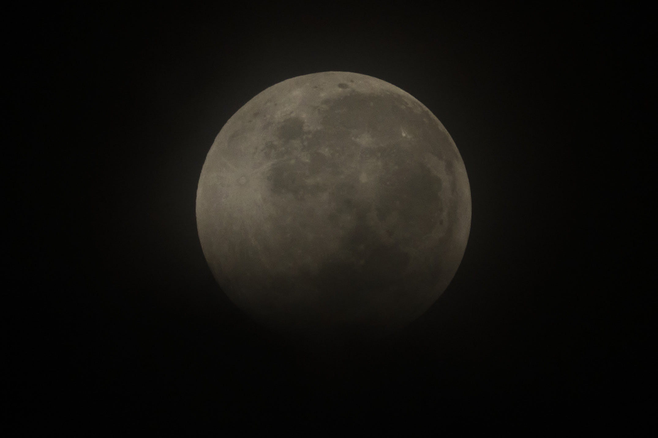 DSCF9529.jpg