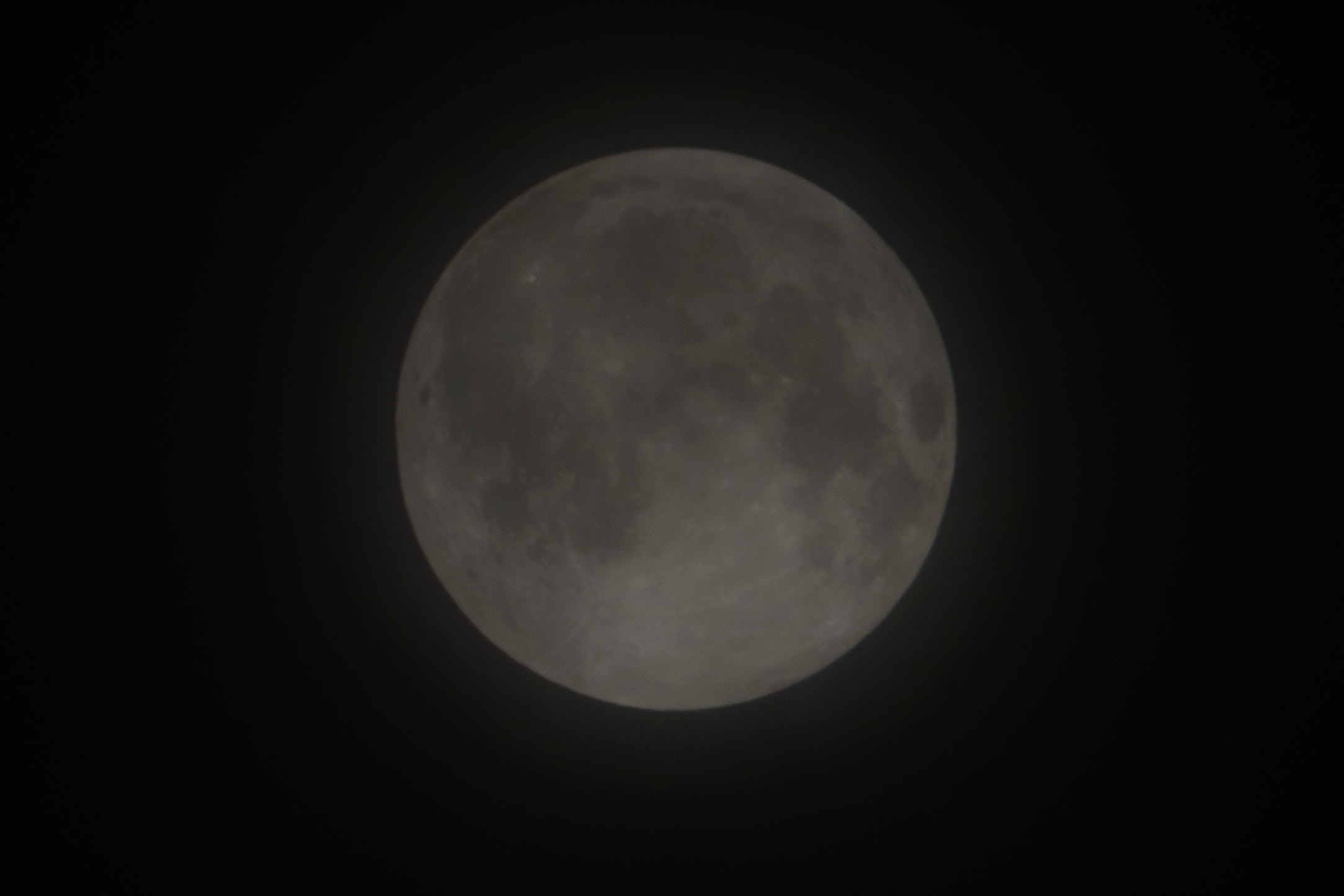 DSCF9336.jpg