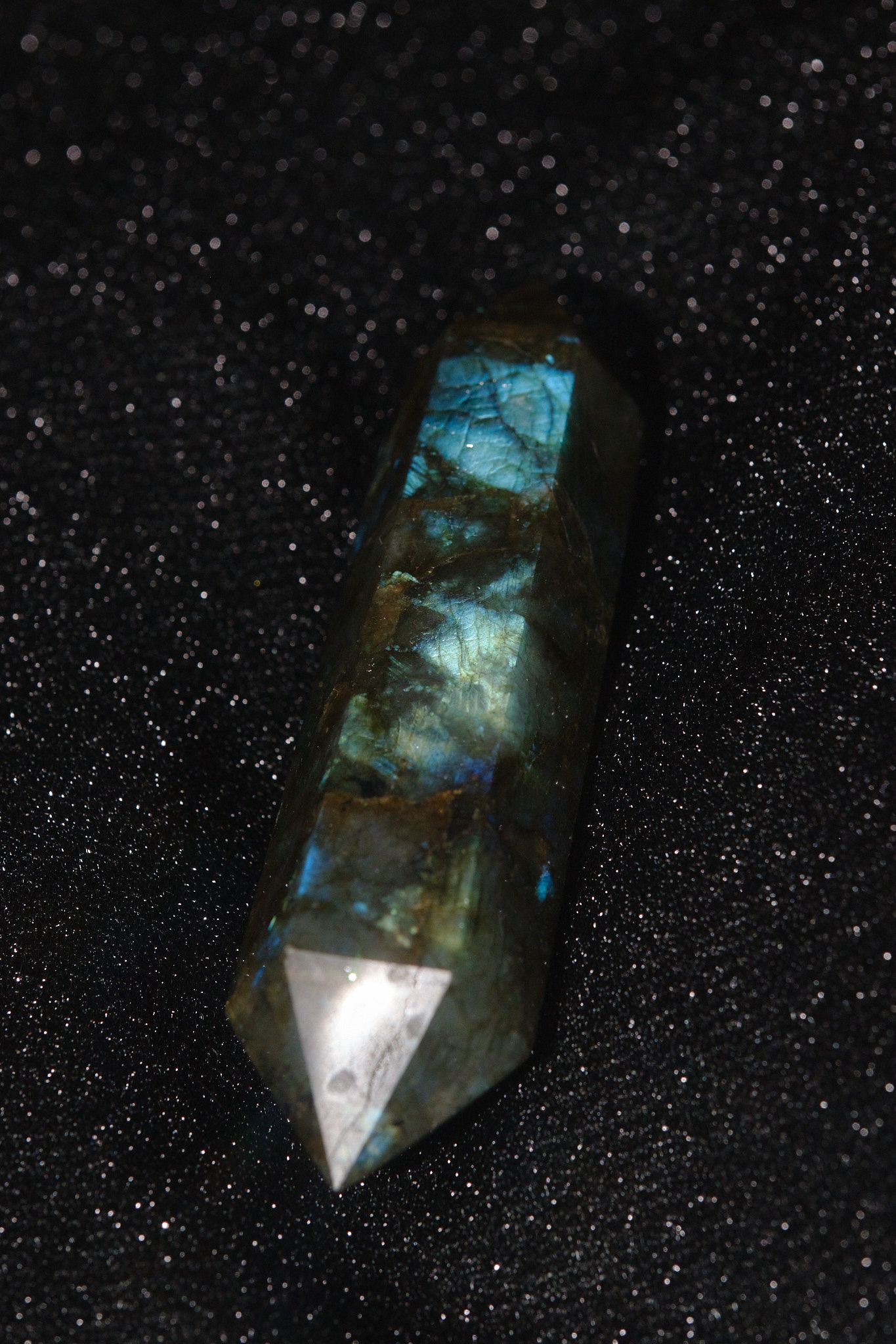 DSCF9186.jpg