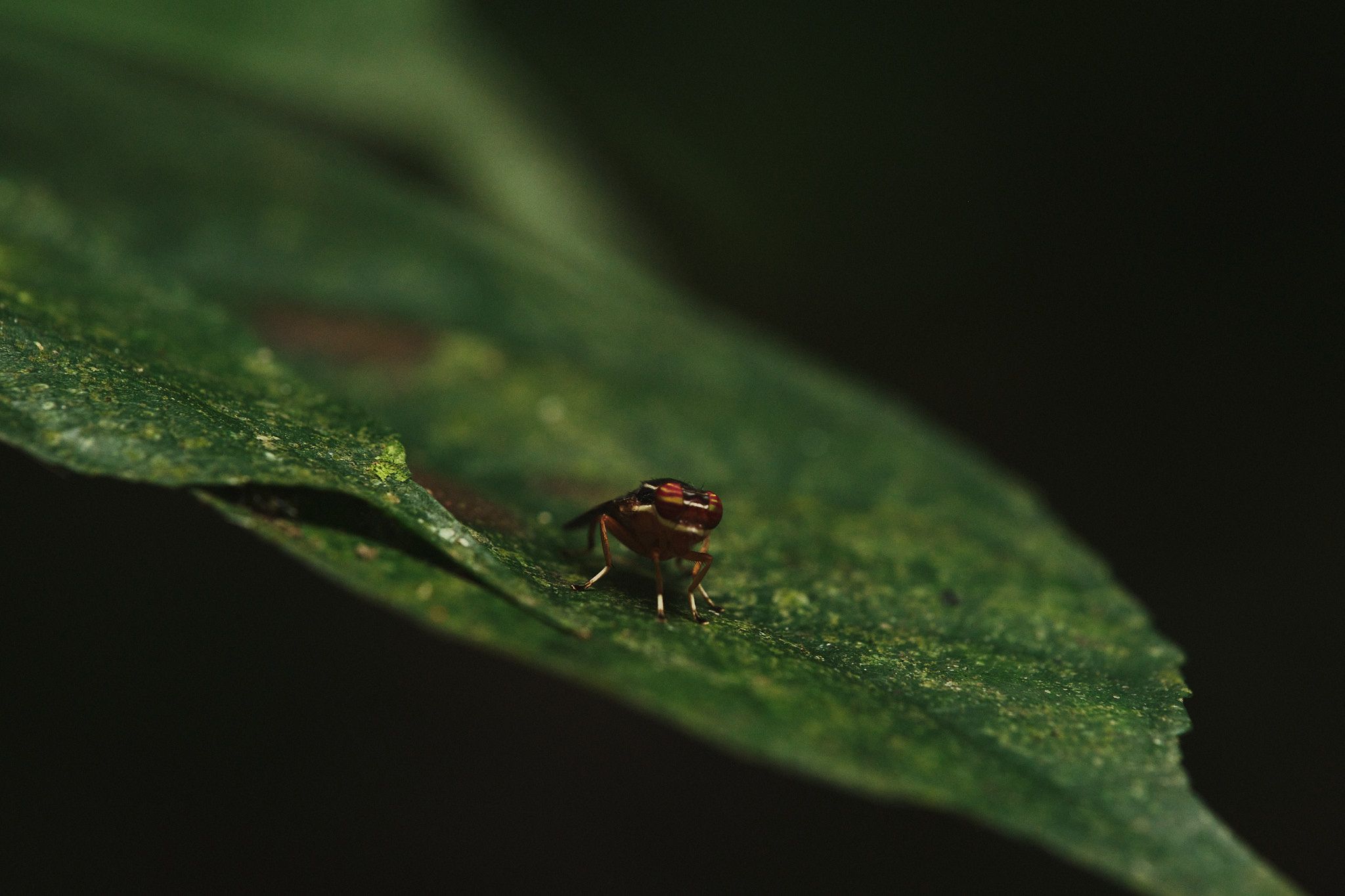 DSCF8592.jpg