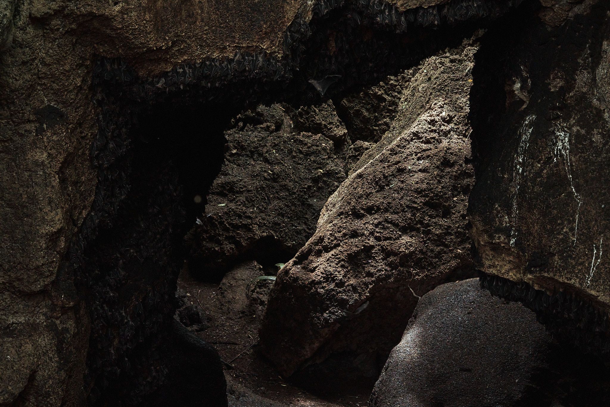 DSCF8173.jpg