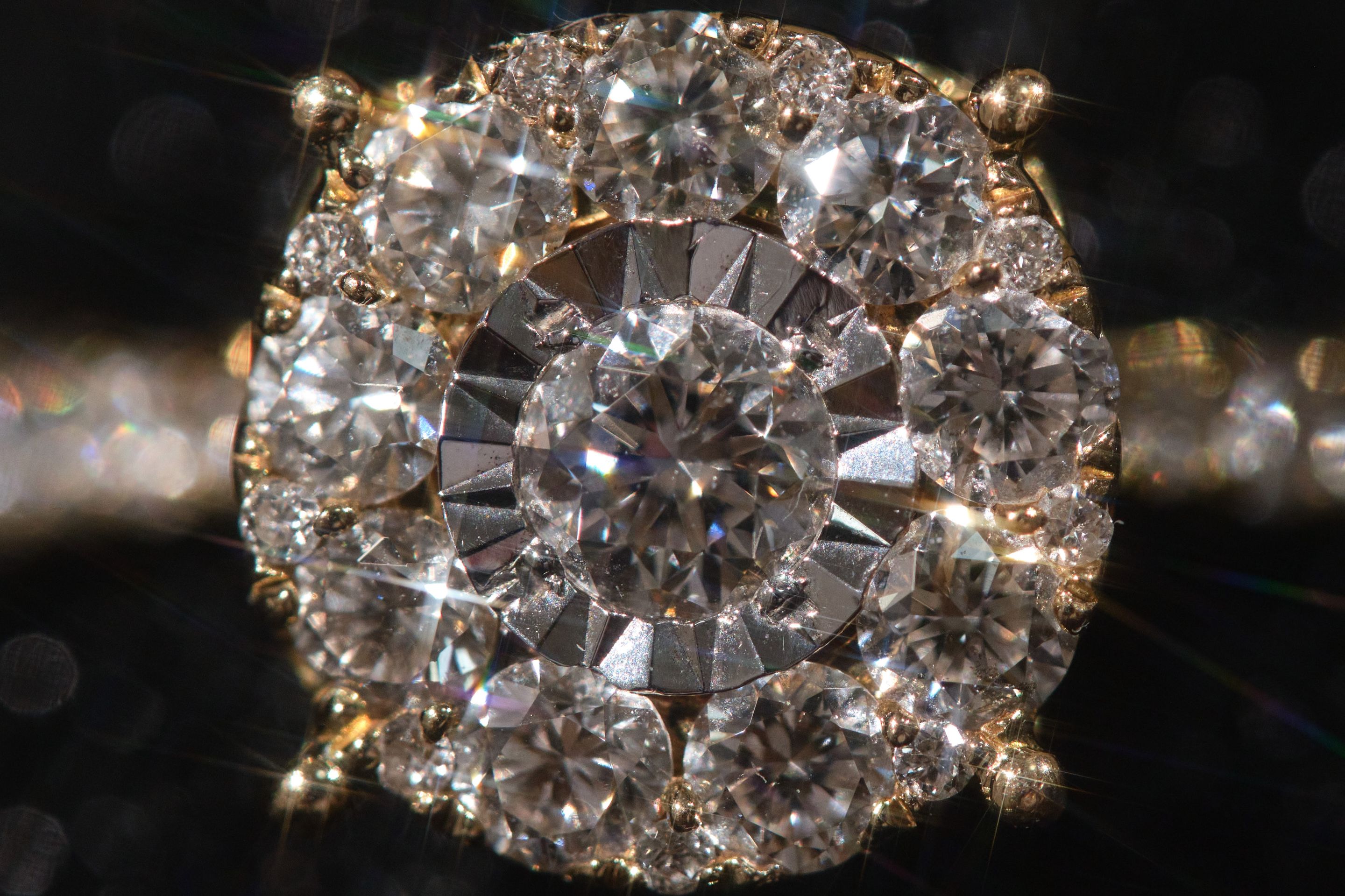 DSCF8838.jpg