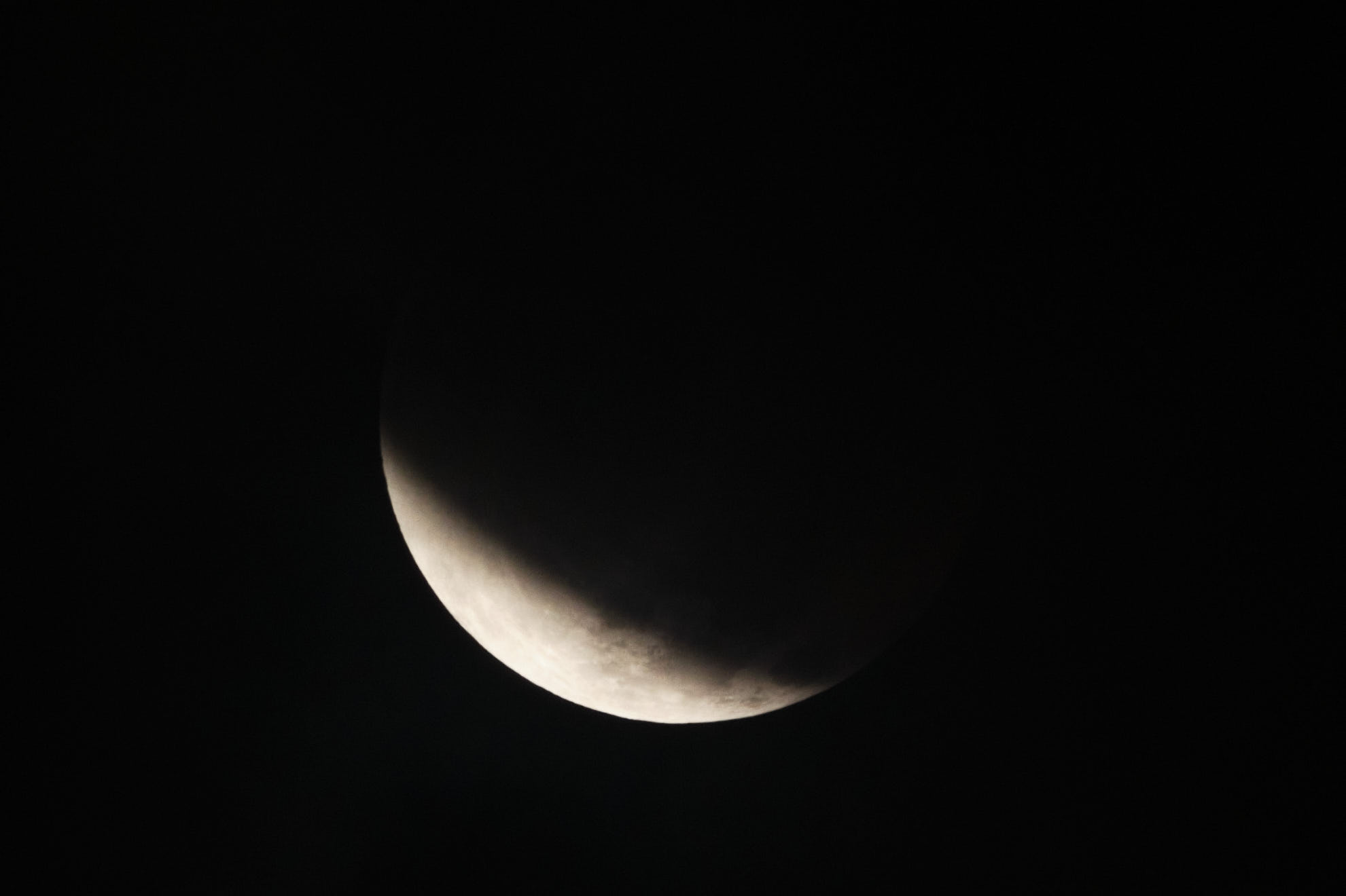 DSCF9414 1.jpg
